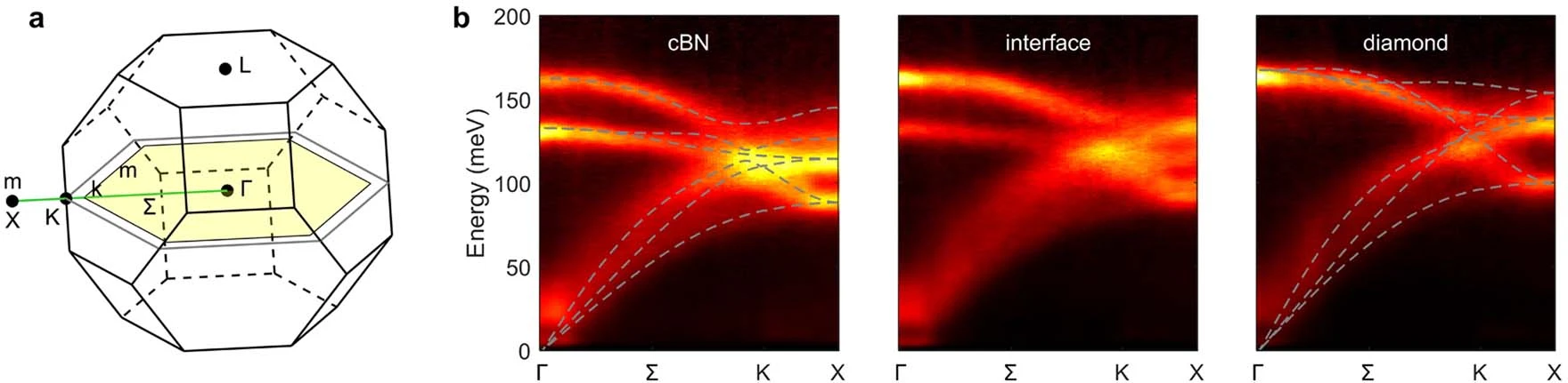 Phonon dispersion diagrams measured with 3 mrad convergence semi-angle.