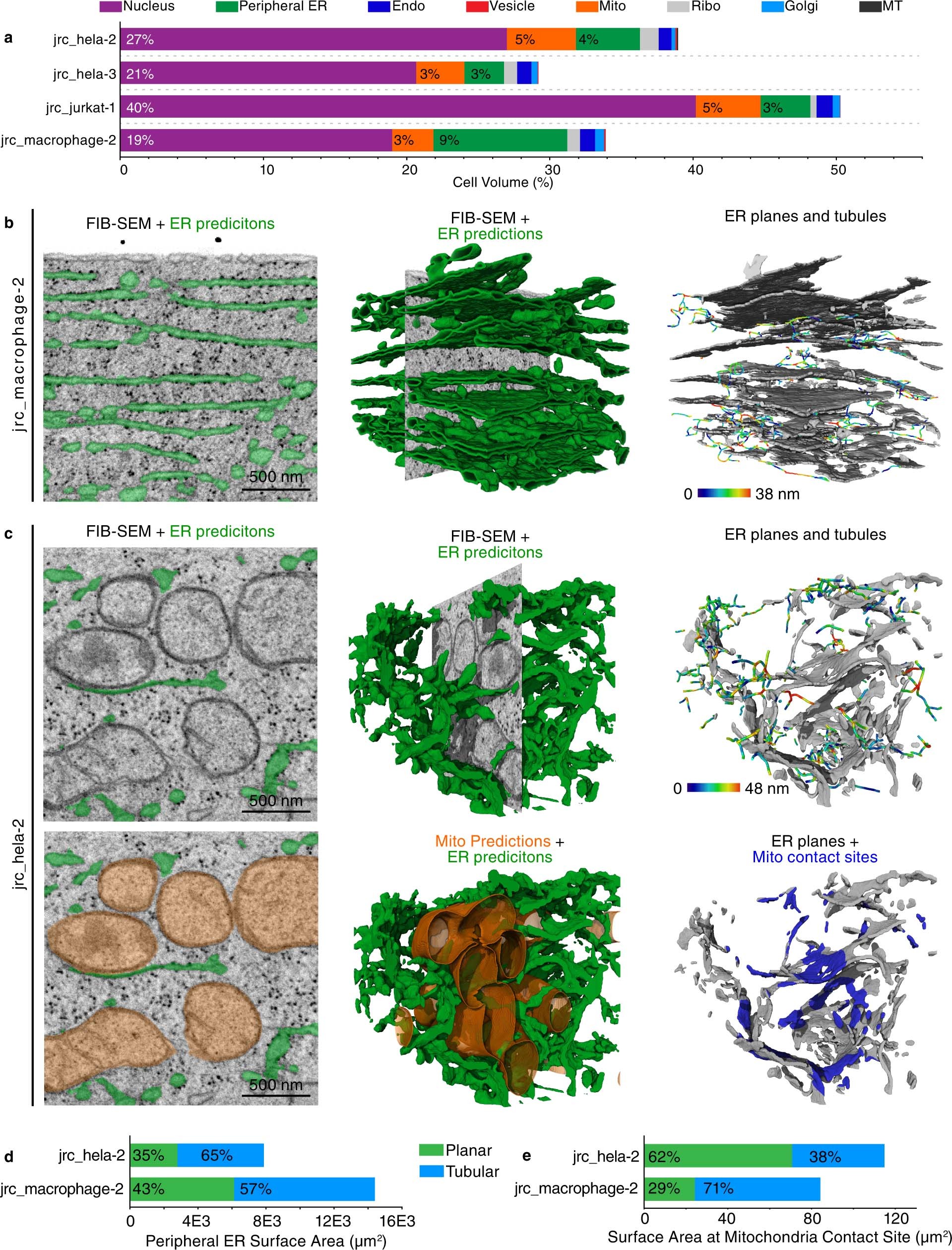 Extended Data Fig. 9: Analysis and biological insight.