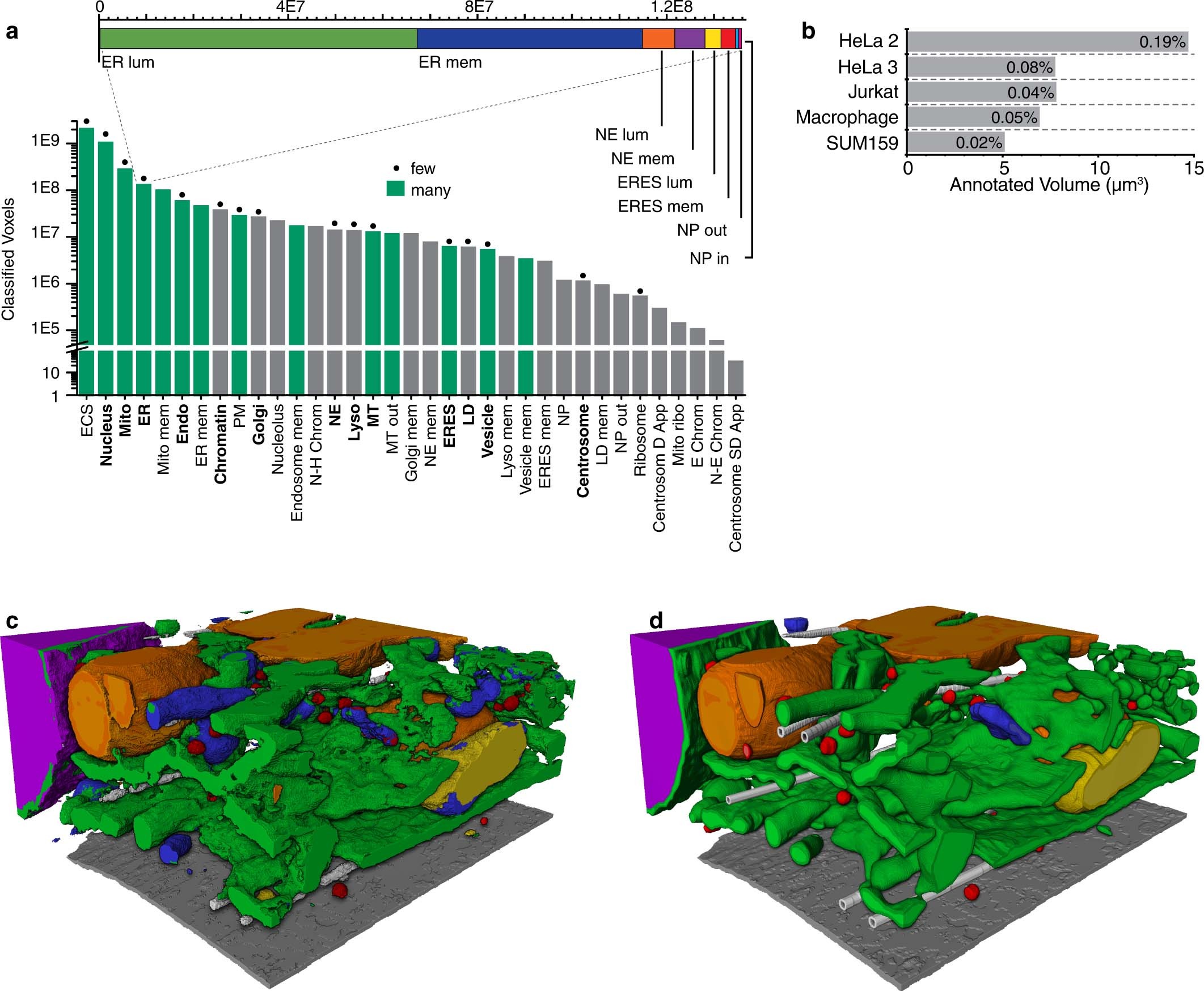 Extended Data Fig. 2: Class frequencies and holdout block.