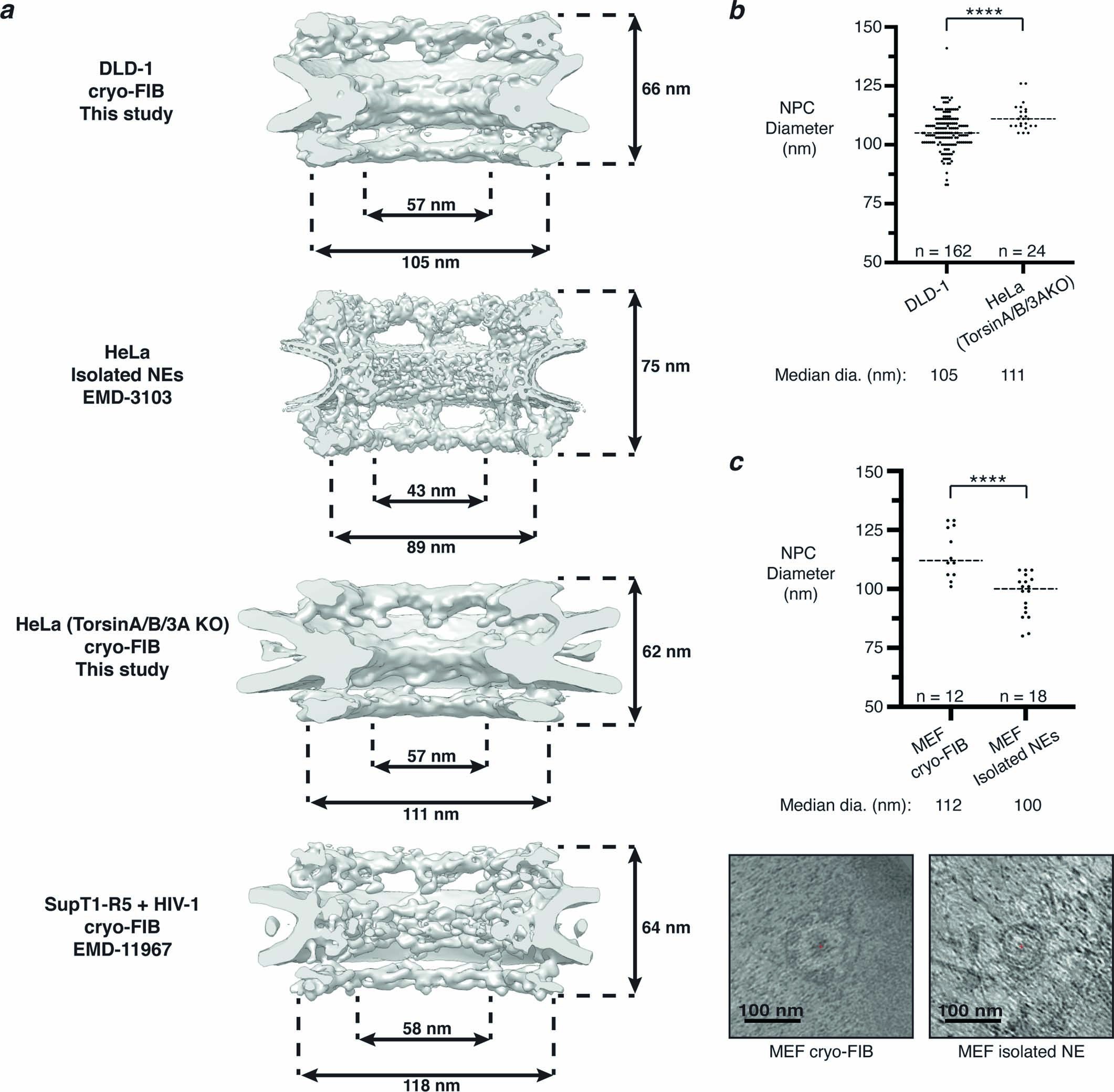 Extended Data Fig. 2