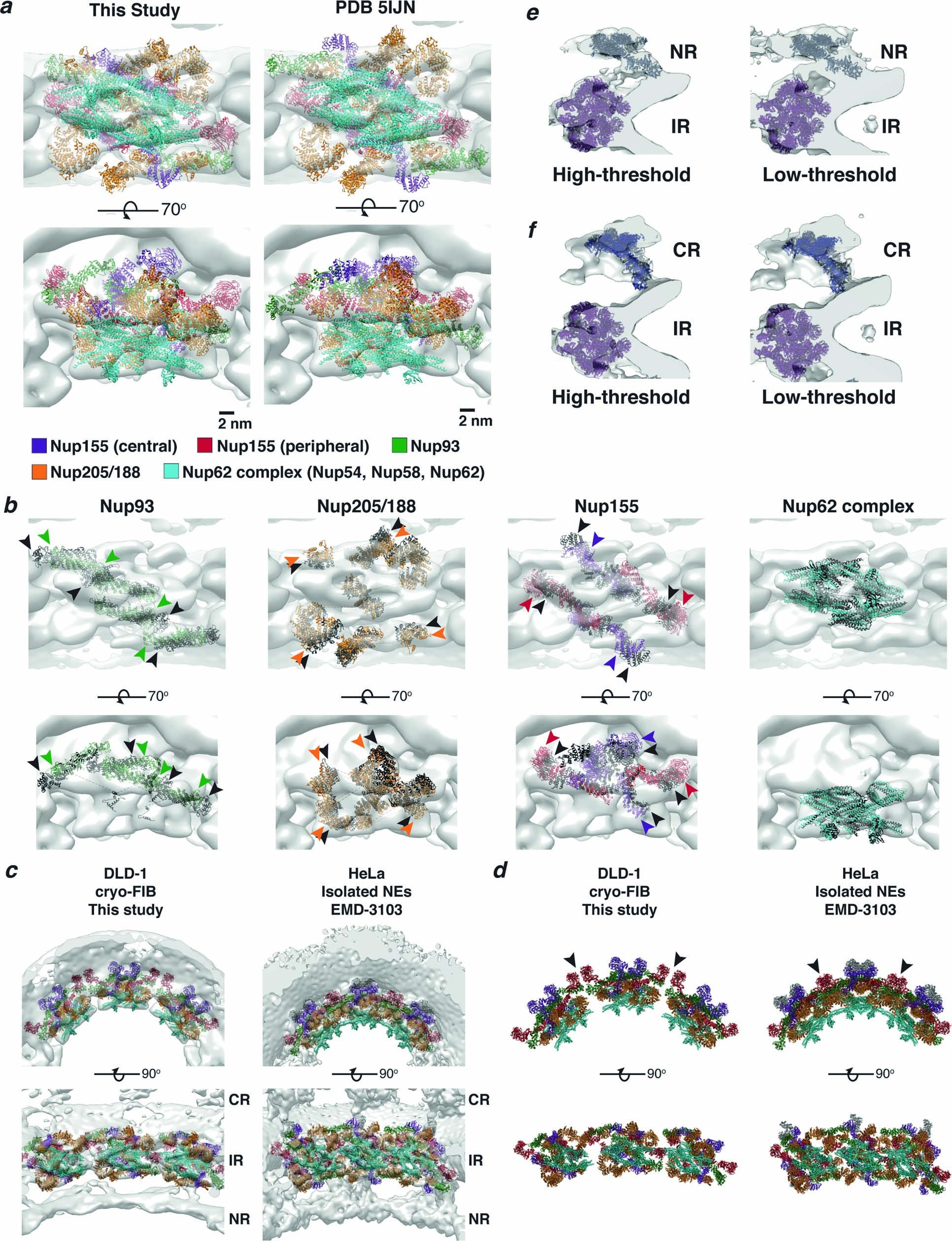 Extended Data Fig. 5