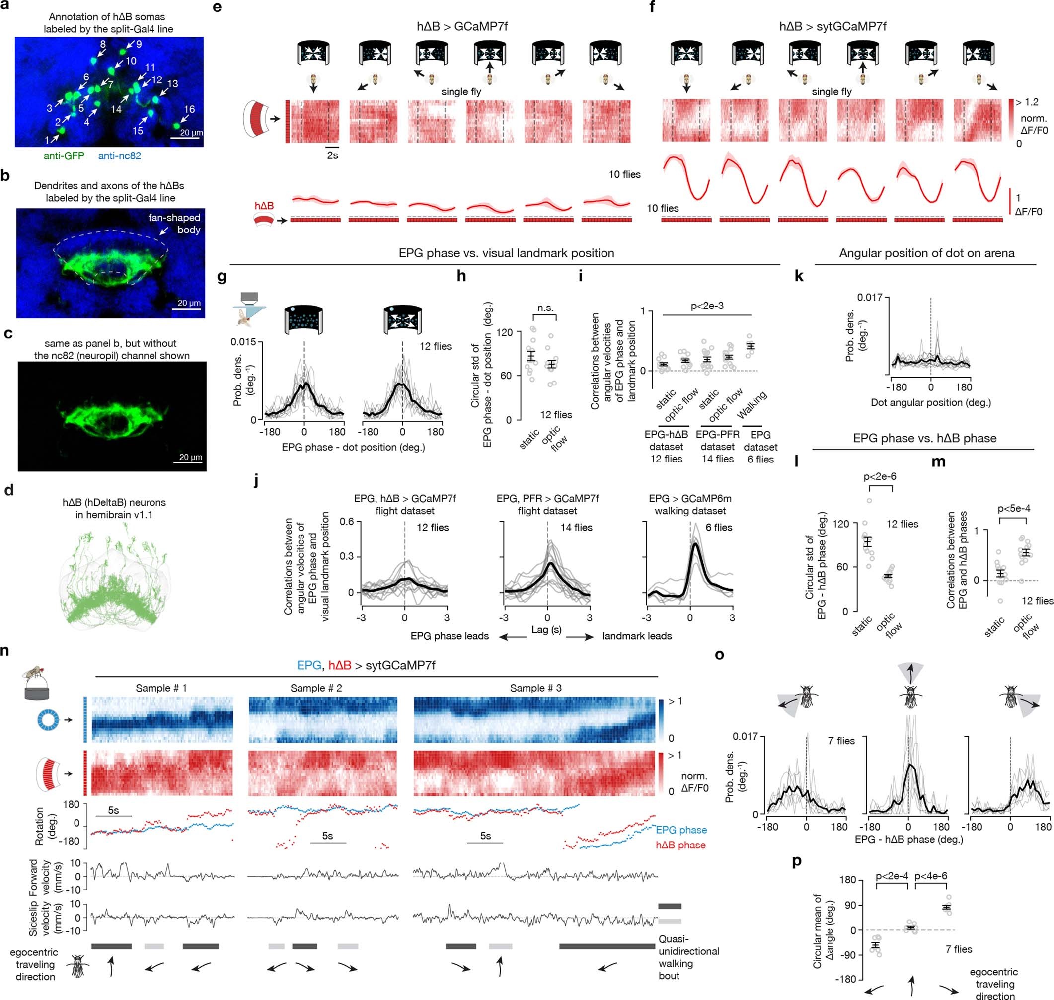 Extended Data Fig. 1