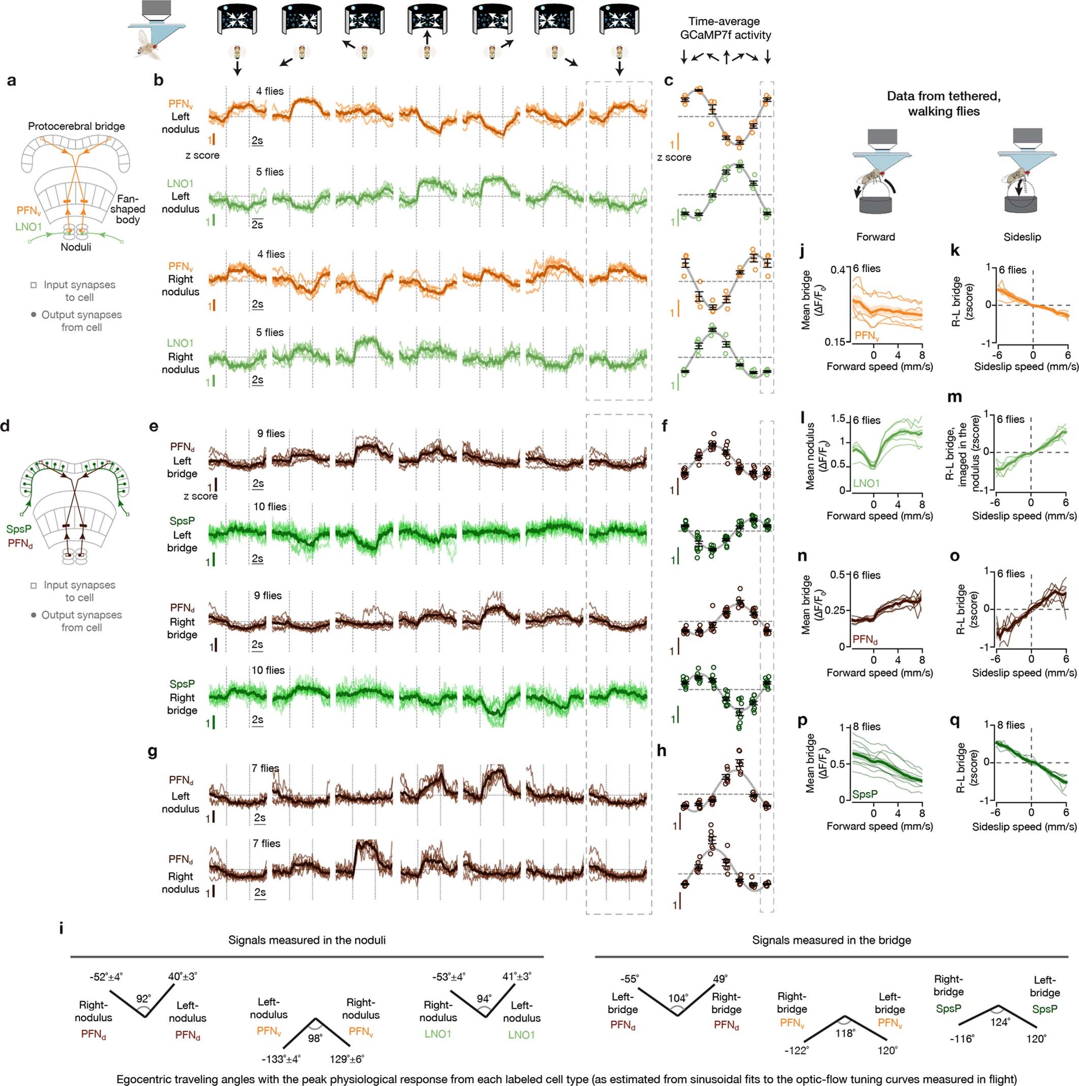 Extended Data Fig. 4