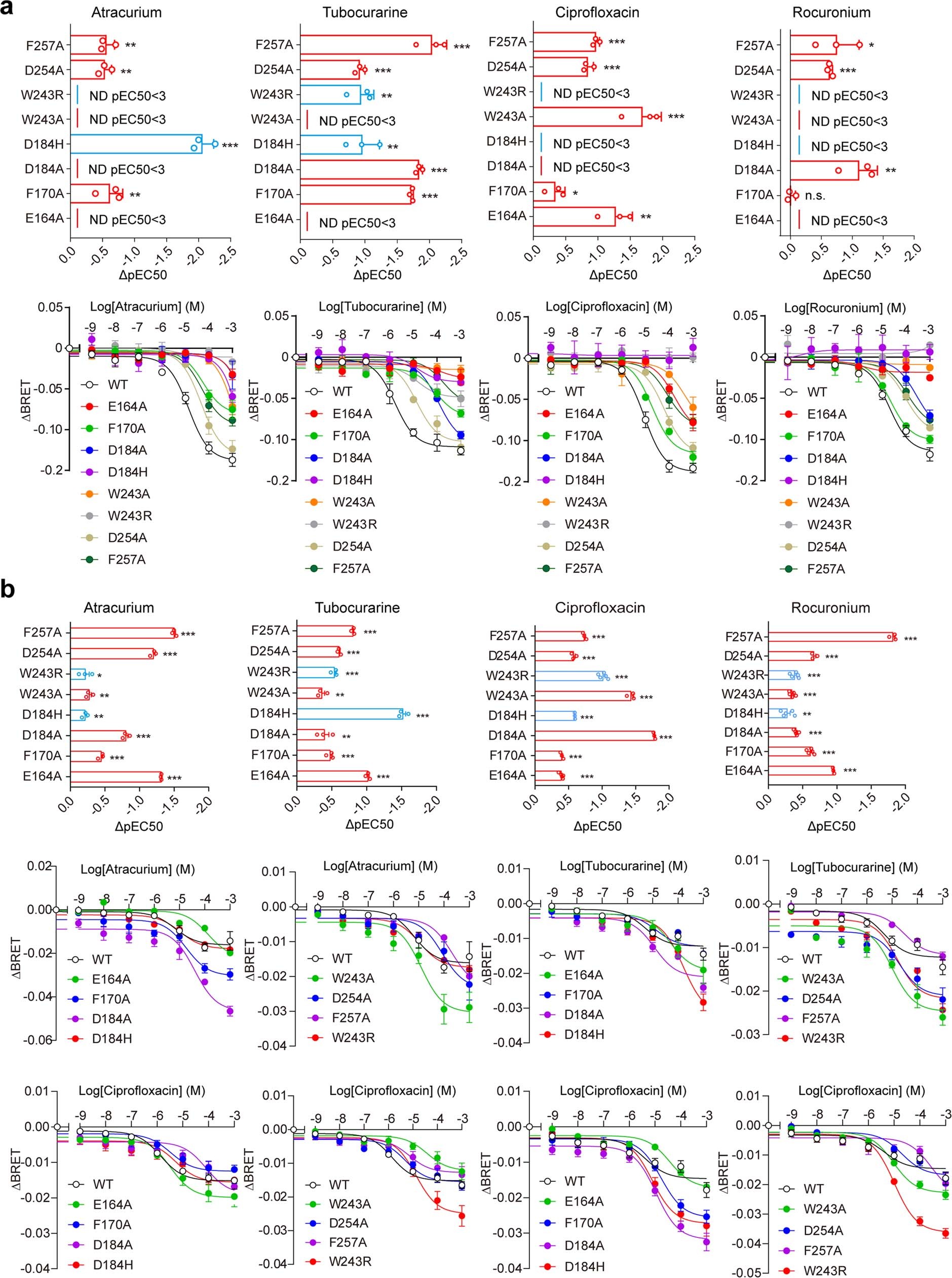 Extended Data Fig. 6: Effects of mutations of key residues of MRGPRX2 on polycationic compound drugs induced MRGPRX2 activation.