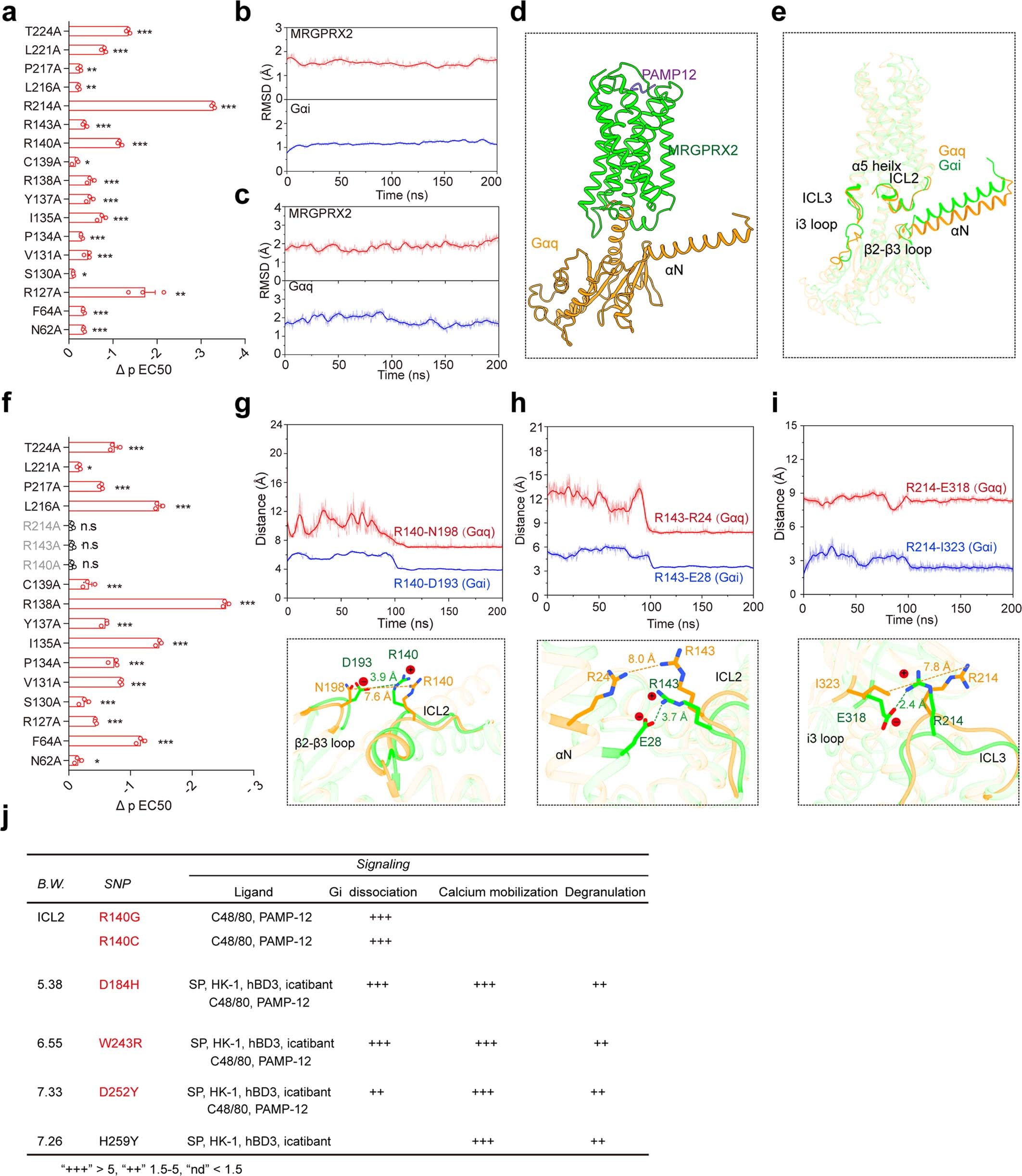 Extended Data Fig. 12: MRGPRX2 interactions with Gi and Gq.