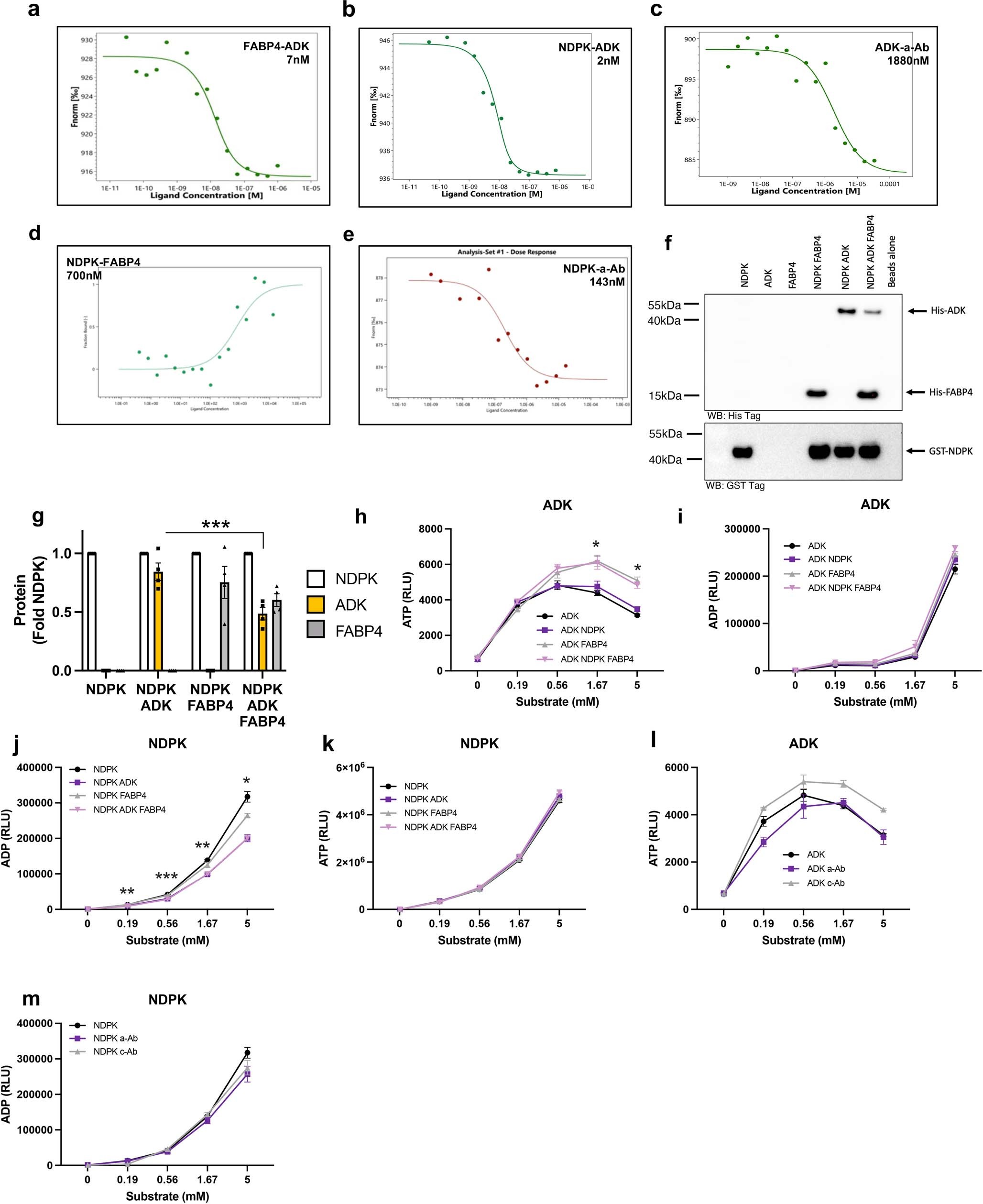 Extended Data Fig. 4: a-Ab interacts with Fabkin.