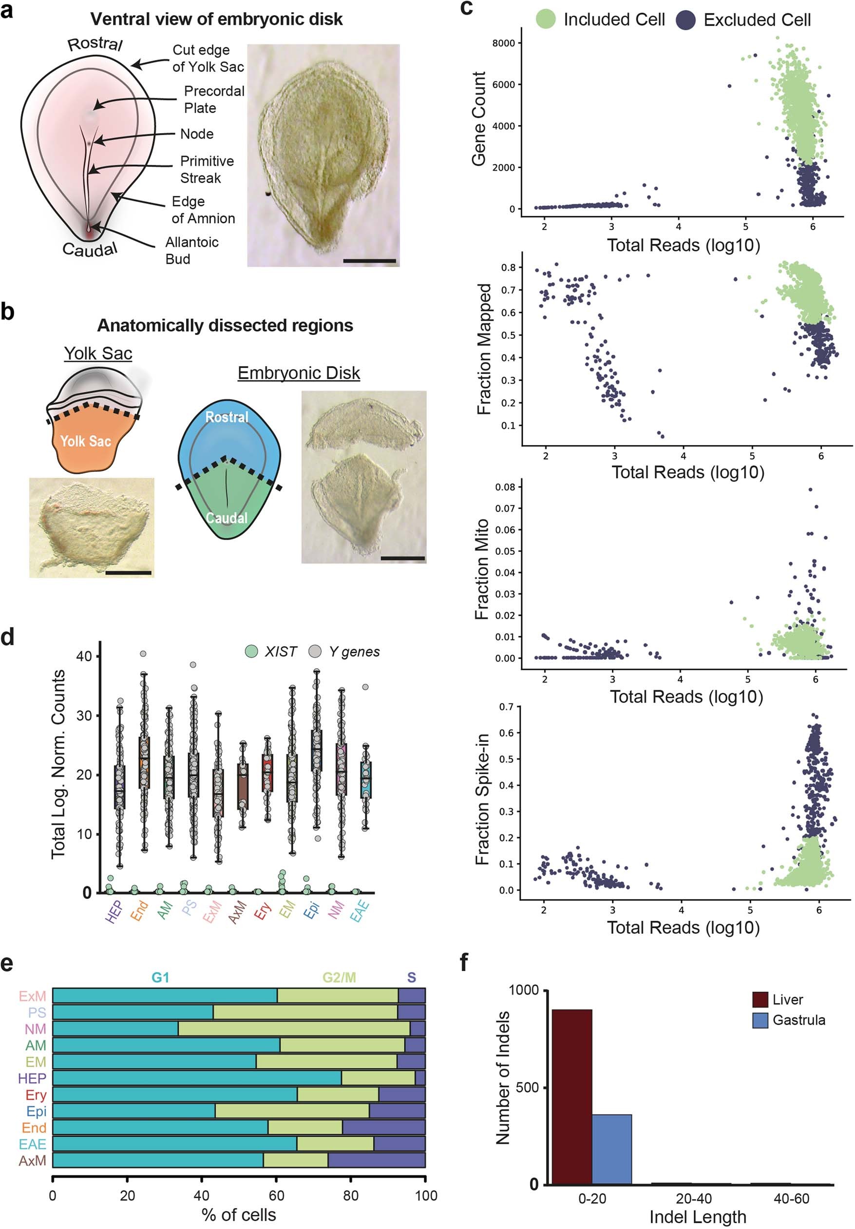 Extended Data Fig. 1: Quality control of scRNA-seq dataset.