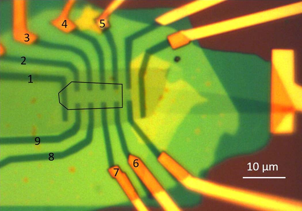 Extended Data Figure 1: Optical micrograph of device 1.