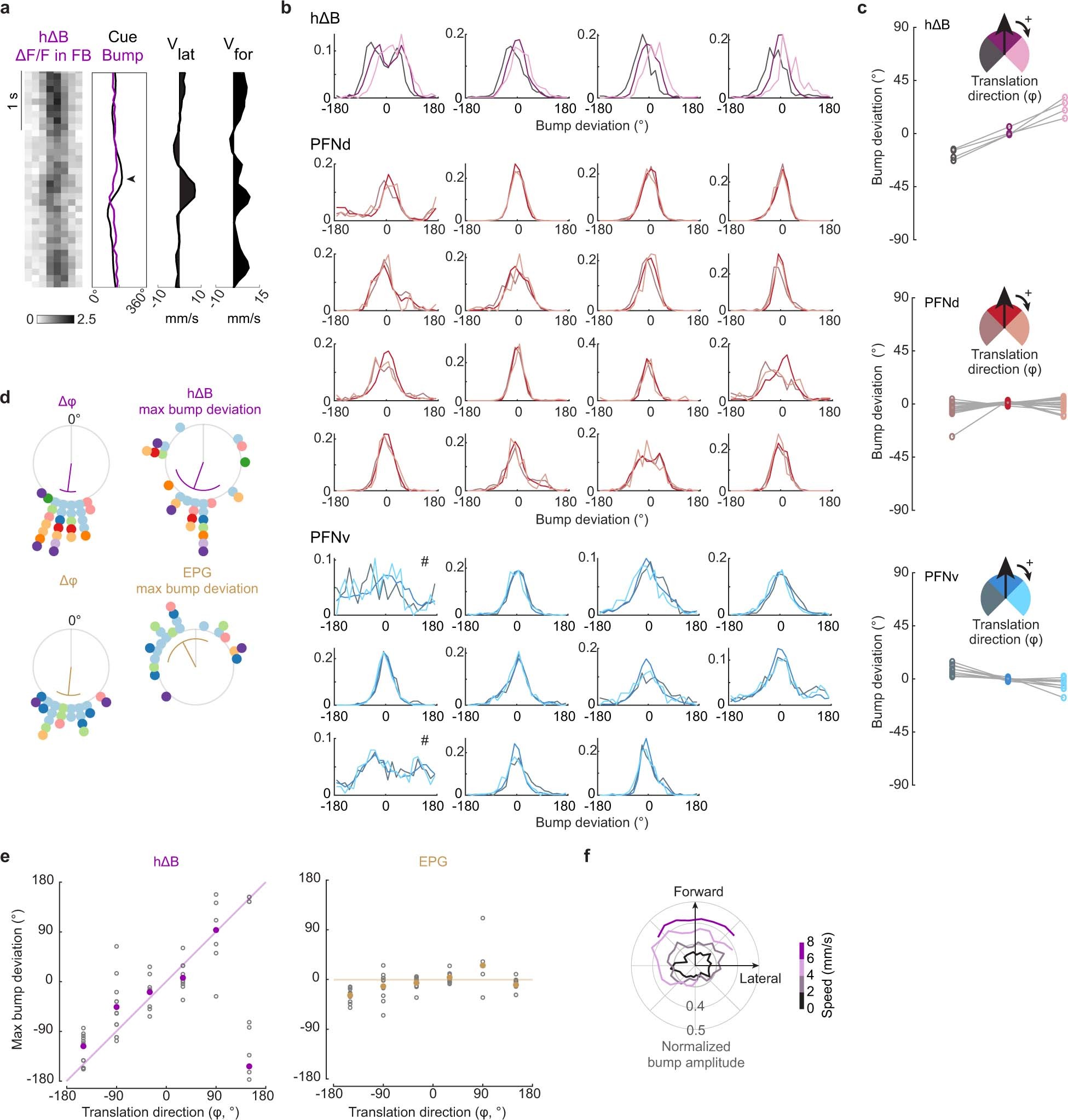 Extended Data Fig. 10: hΔB bump deviations.