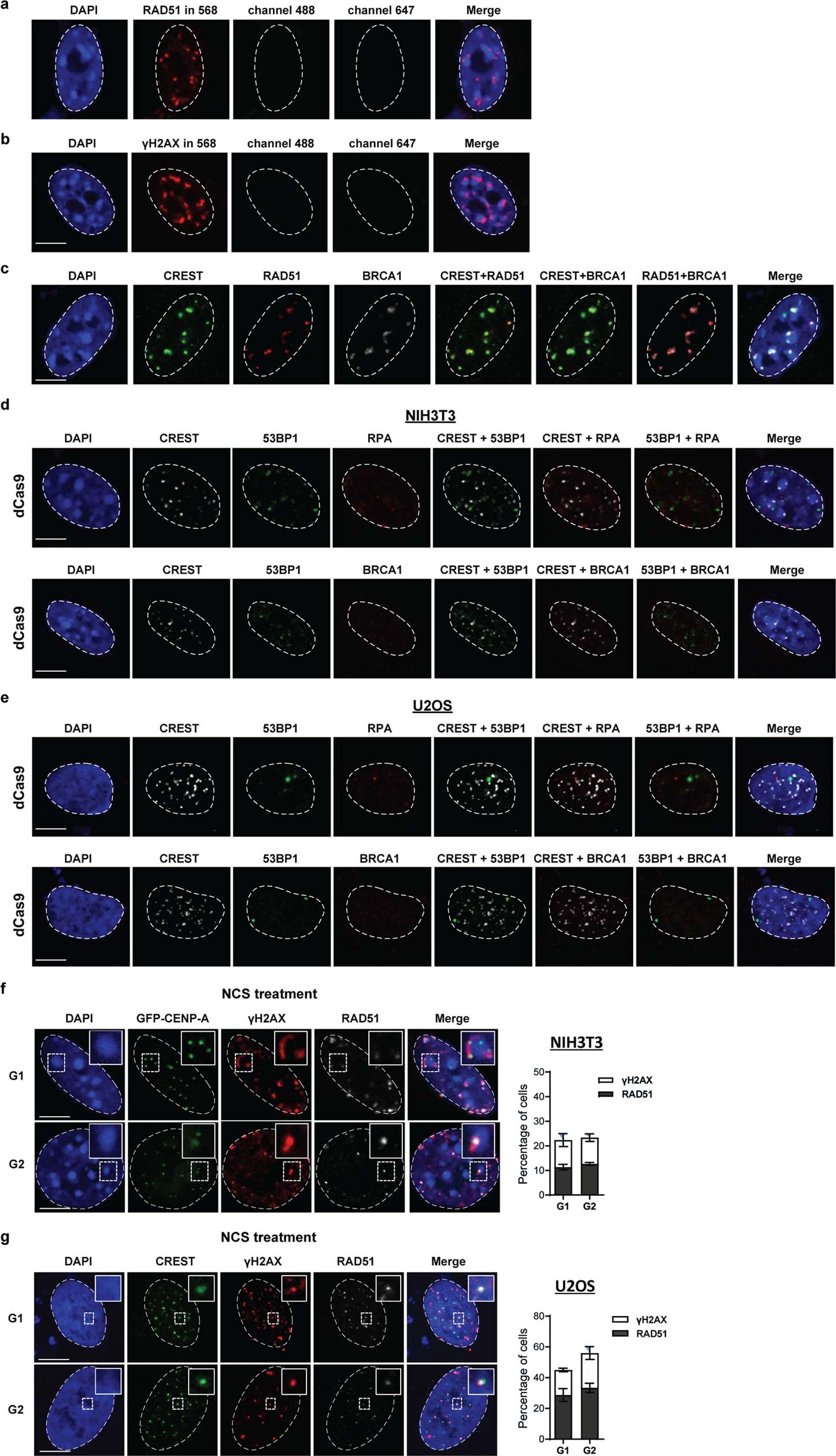 Extended Data Fig. 2