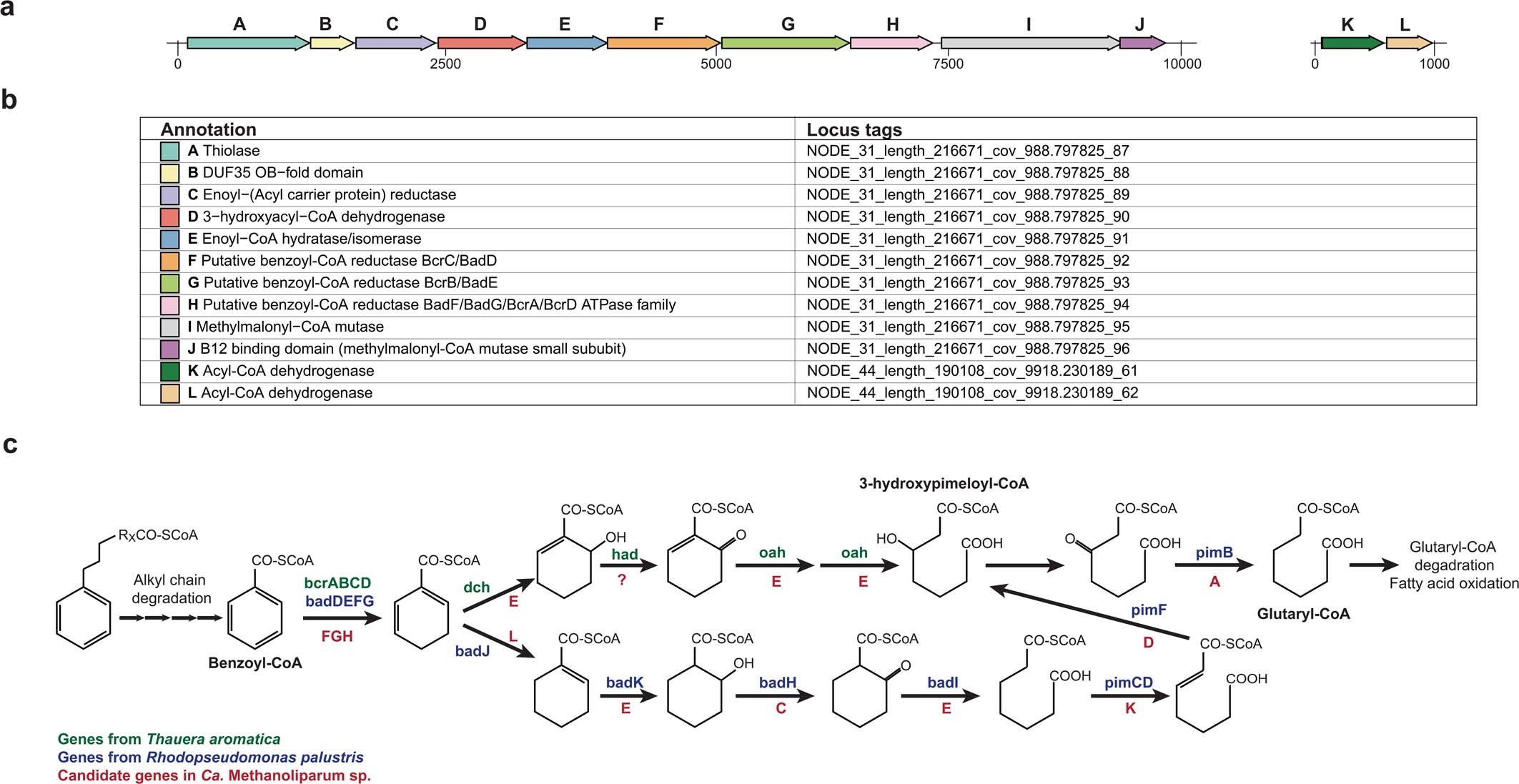 Extended Data Fig. 10