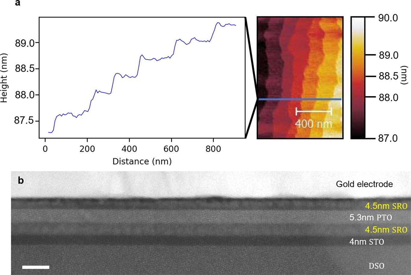 Extended Data Fig. 1