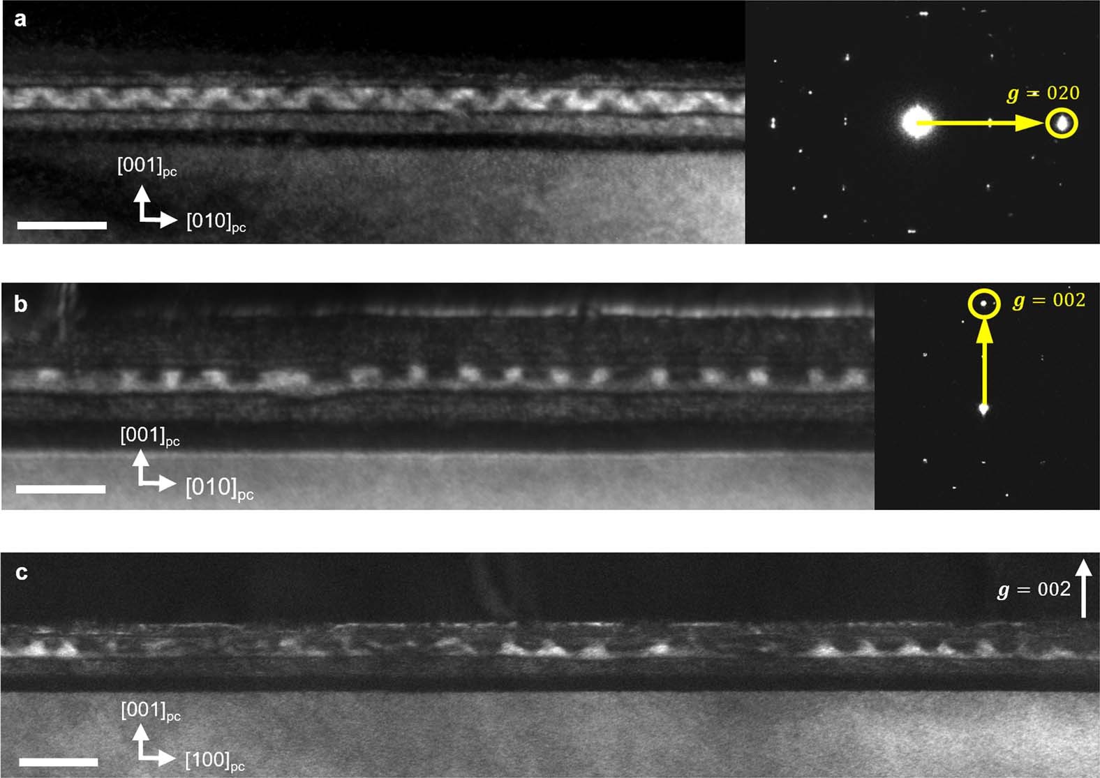 Extended Data Fig. 3