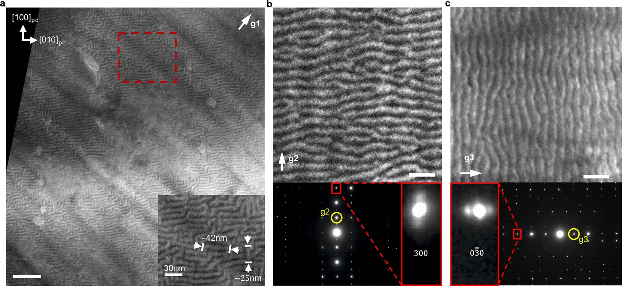 Extended Data Fig. 4