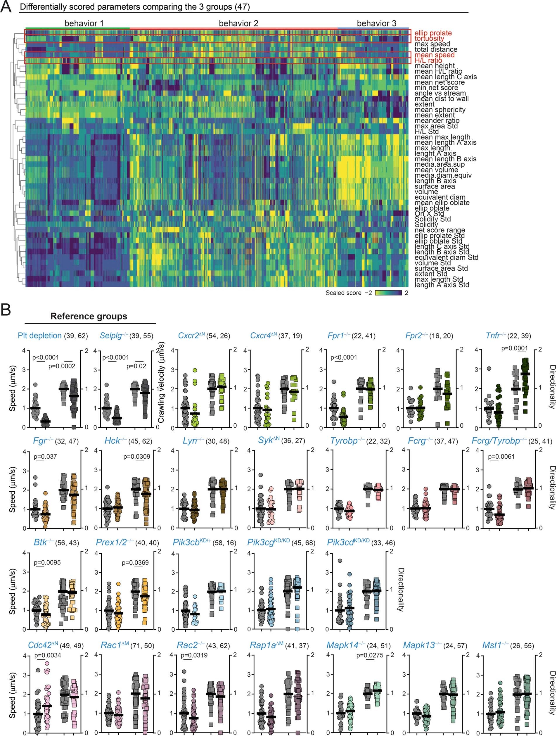 Extended Data Fig. 7: Track parameters in the behavioral screening.