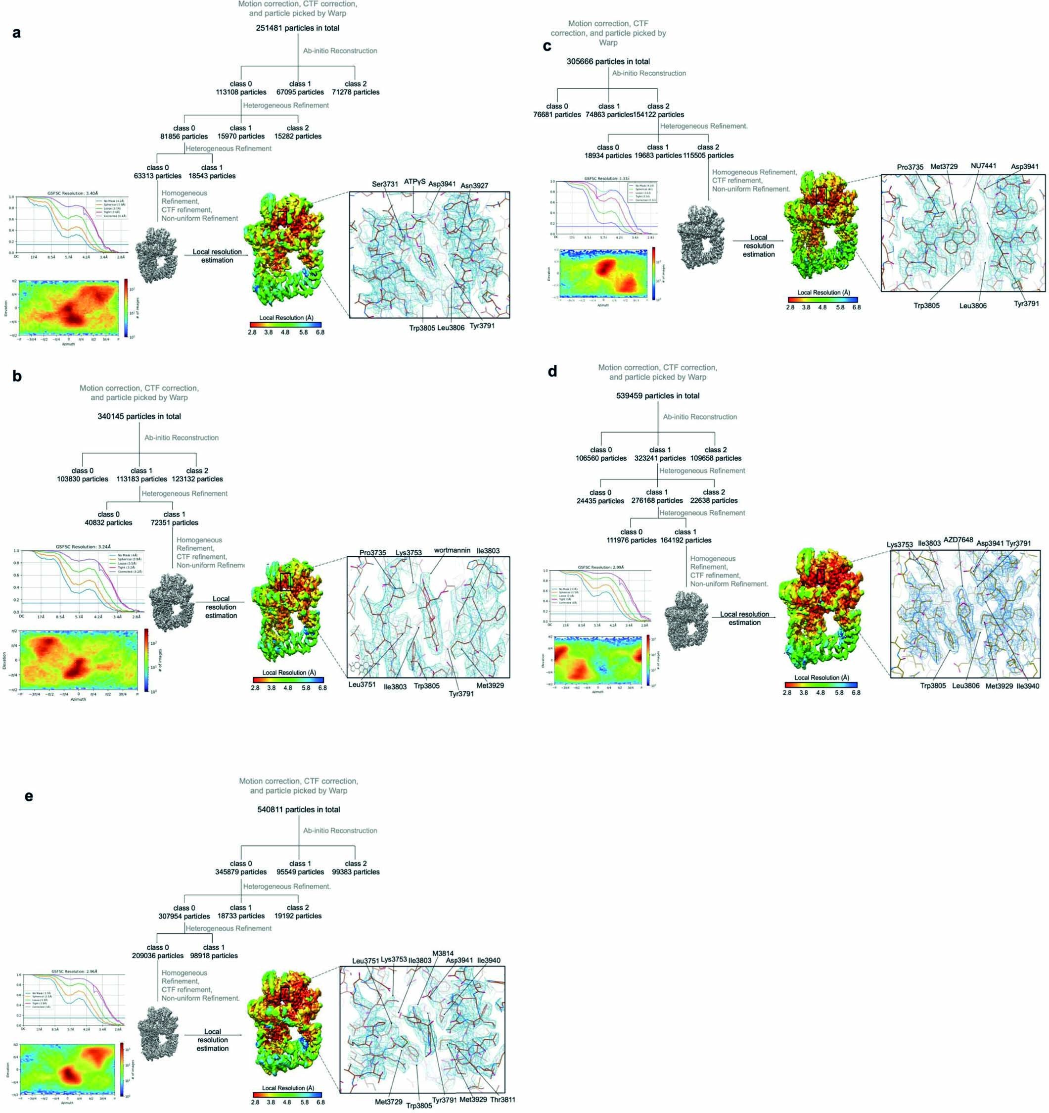Extended Data Fig. 6