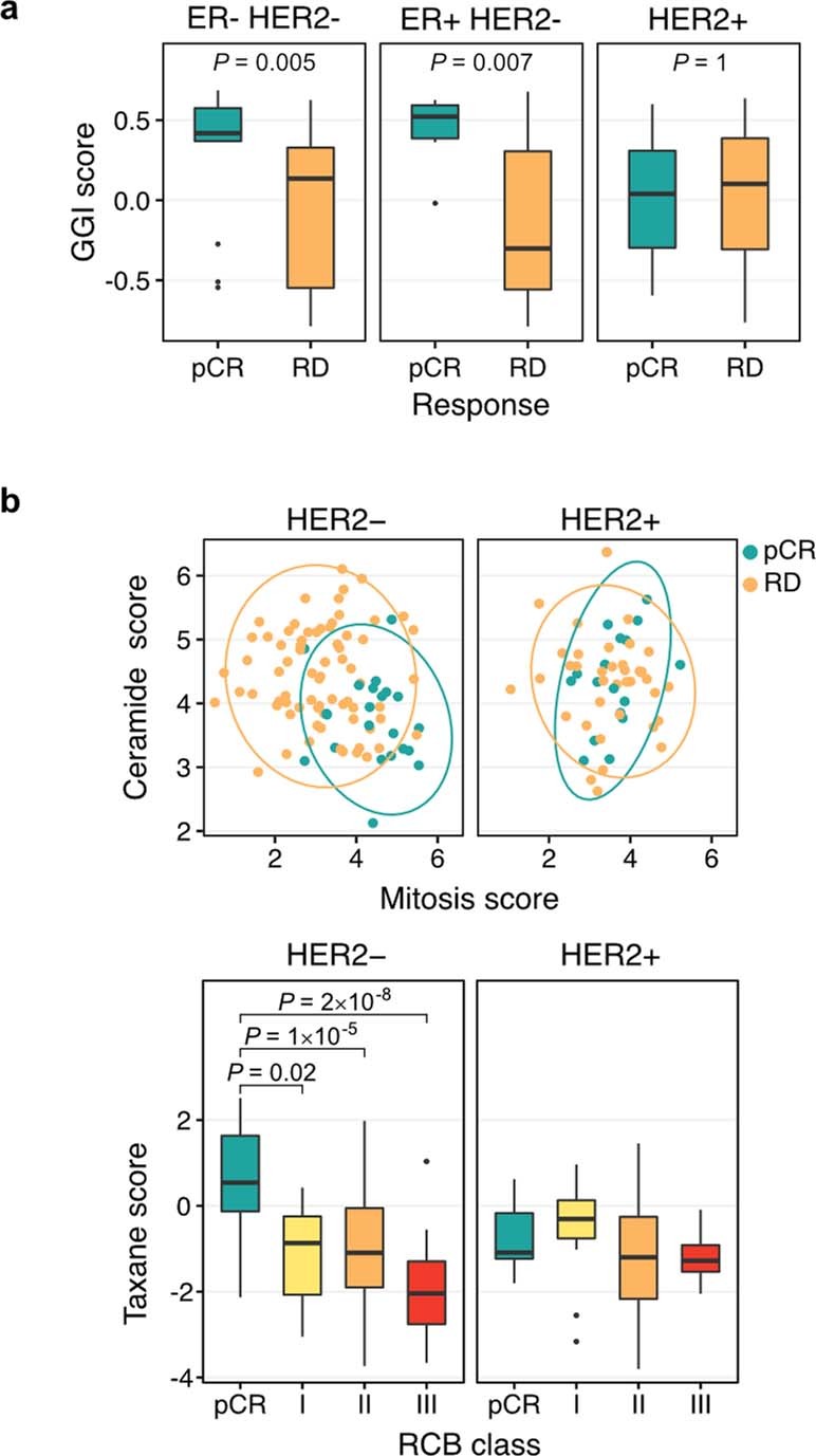 Extended Data Fig. 6: Associations between tumour proliferation and response.