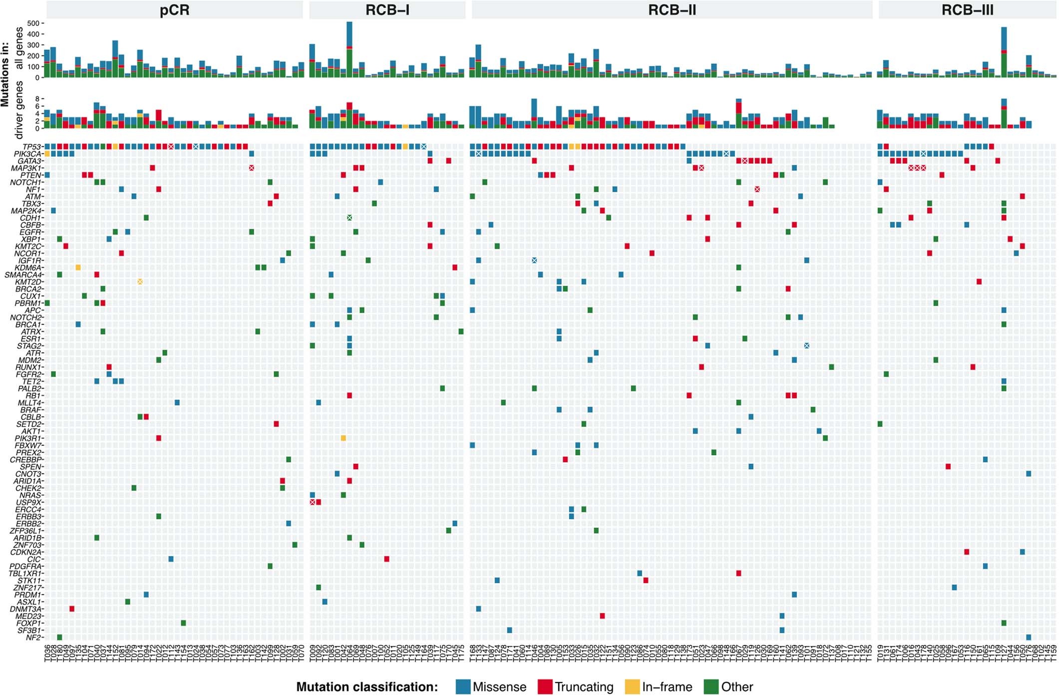 Extended Data Fig. 3: The somatic mutational driver landscape of tumours prior to neoadjuvant therapy.