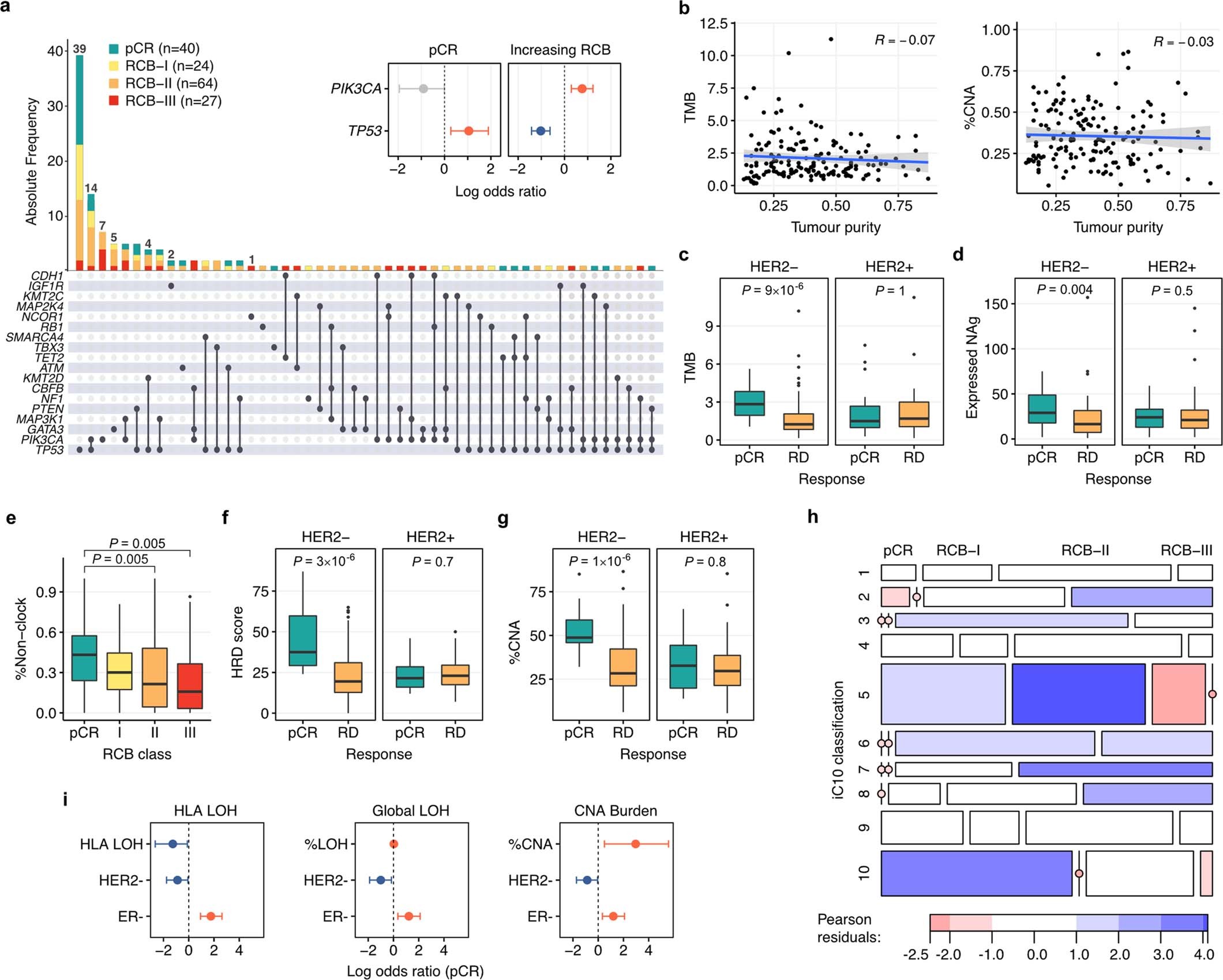 Extended Data Fig. 4: Further associations between genomic features and response to neoadjuvant therapy.