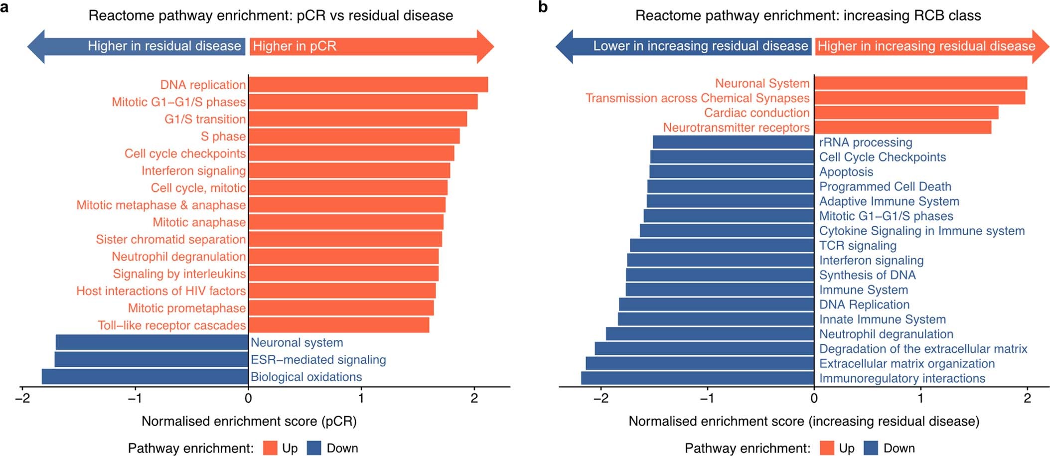 Extended Data Fig. 5: Reactome pathways associated with response to neoadjuvant therapy.