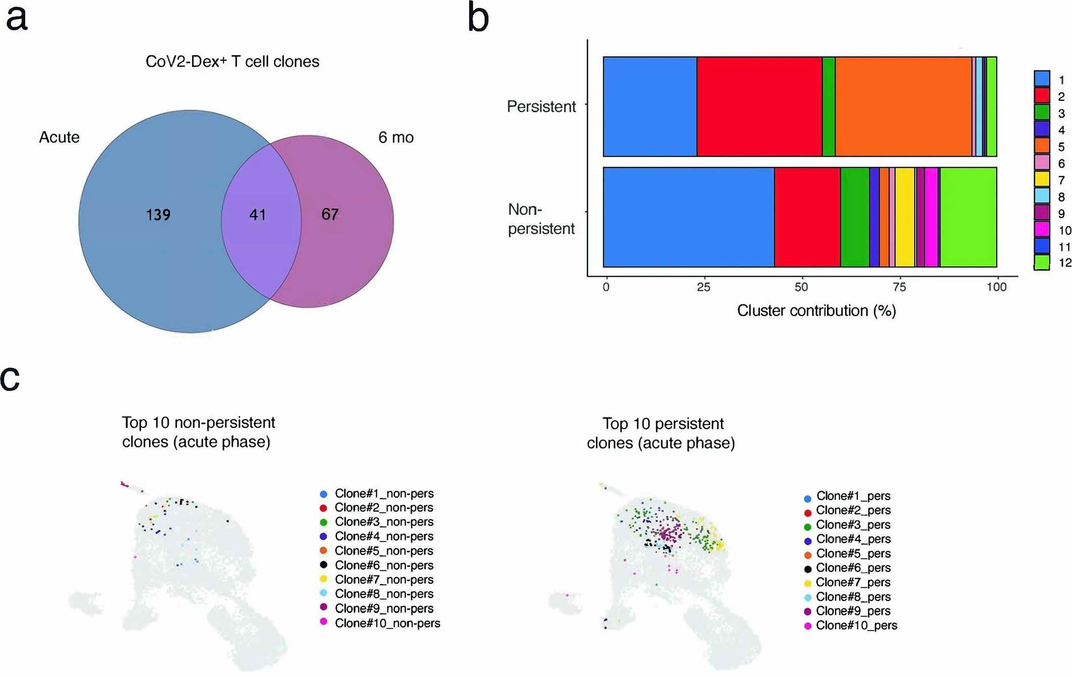 Extended Data Fig. 9: Clonality and phenotype of persistent versus non-persistent CoV2-Dex+ T cell clones.