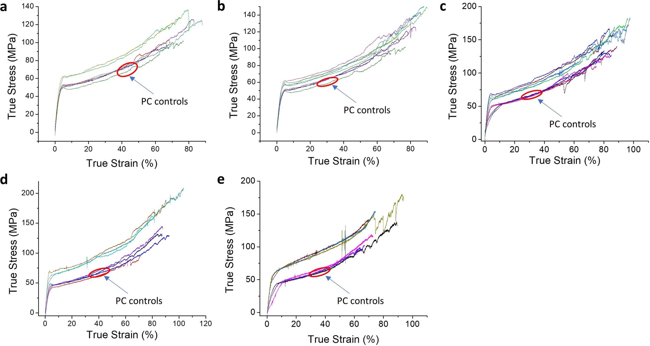 Extended Data Fig. 6
