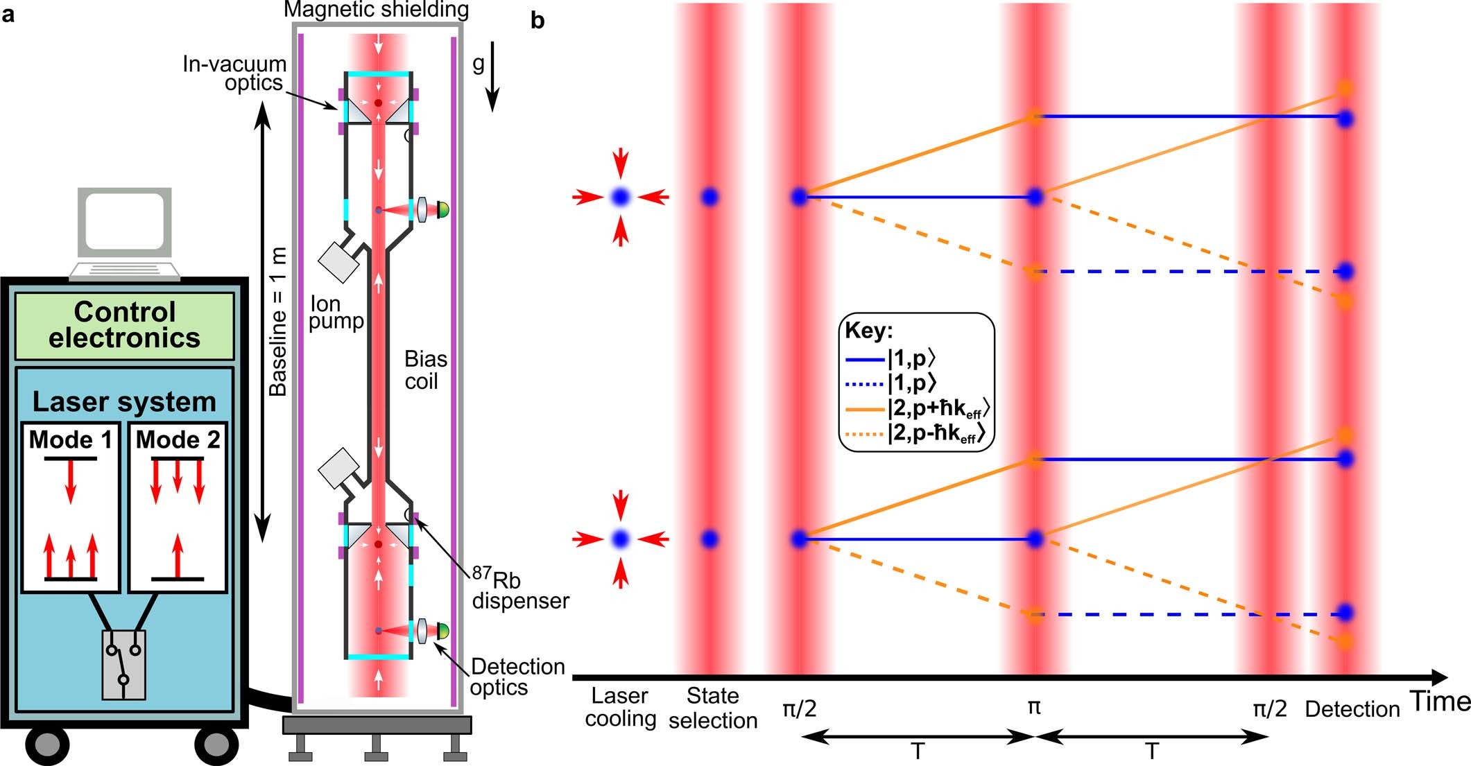 Extended Data Fig. 1: Overview of the experimental system and sequence.