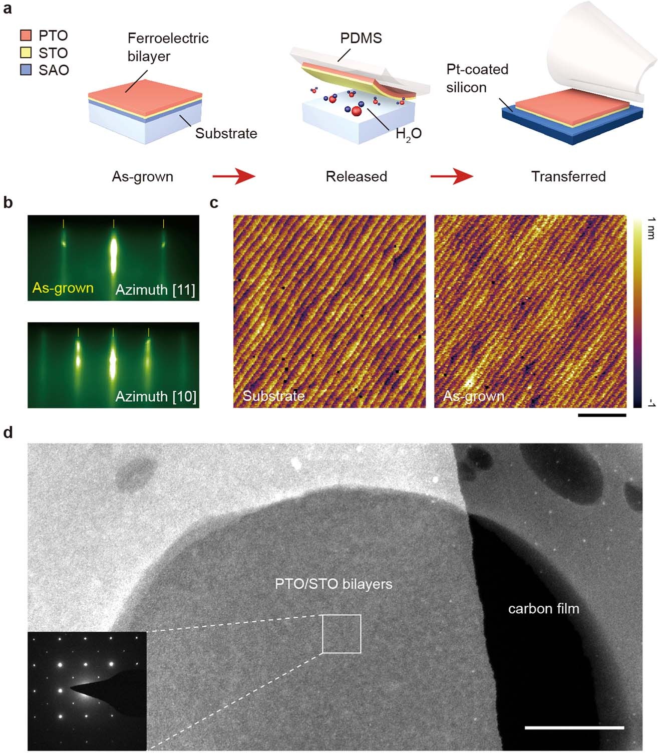 Extended Data Fig. 1: Growth and transfer of freestanding PTO/STO bilayers.