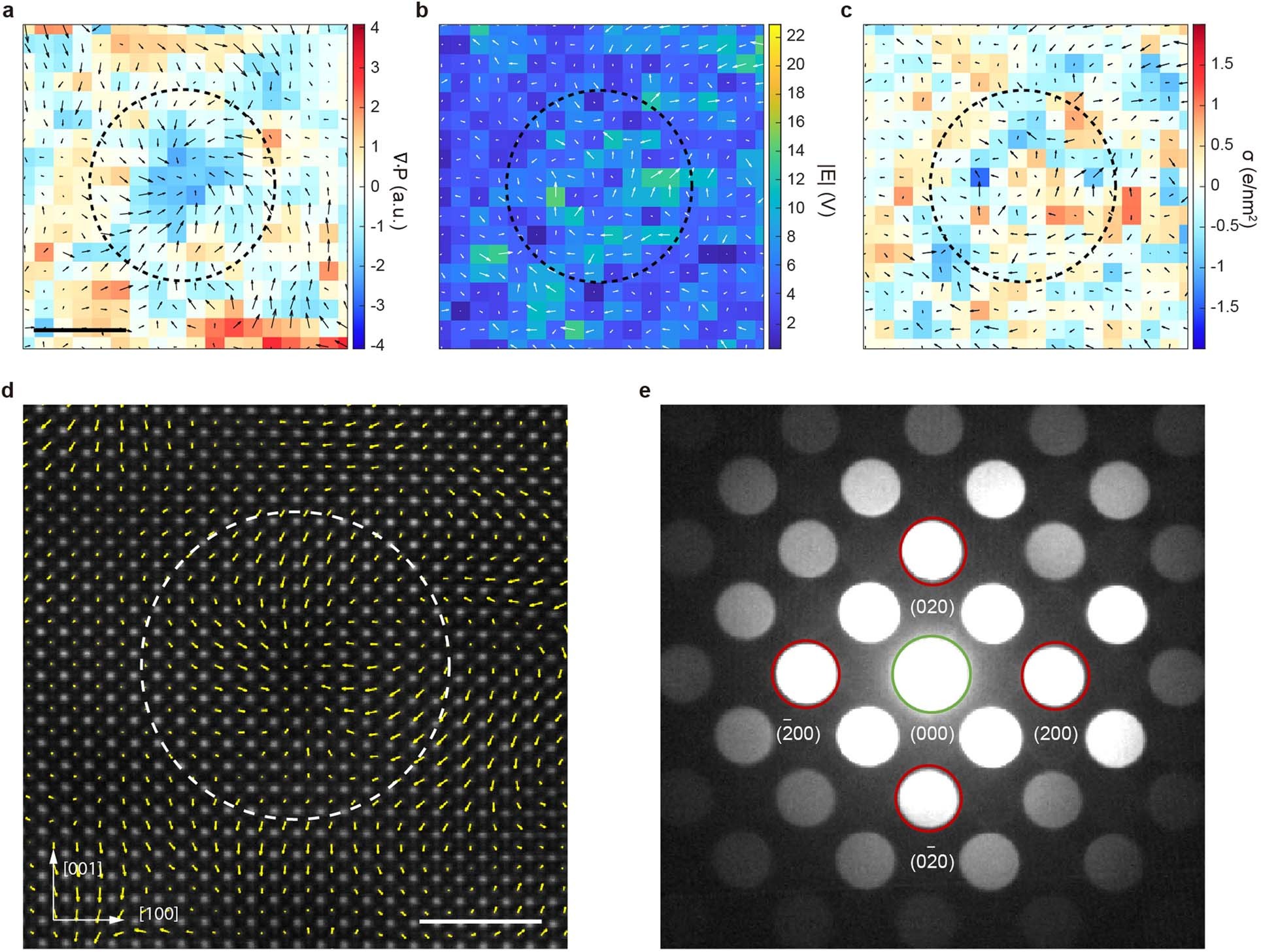 Extended Data Fig. 4: Characterization of a centre-convergent type nanodomain.