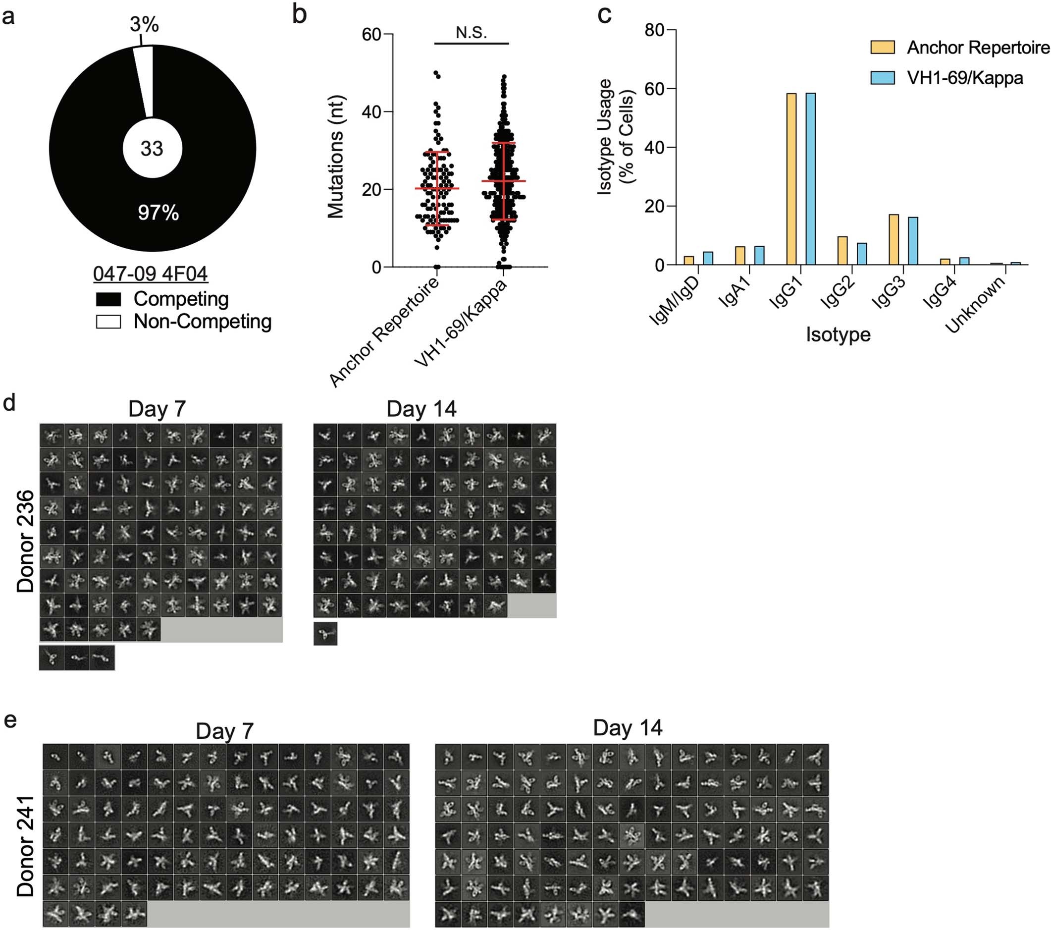 Extended Data Fig. 5: Features of anchor-targeting MBCs and EMPEM 2D classes. Related to Fig. 3.