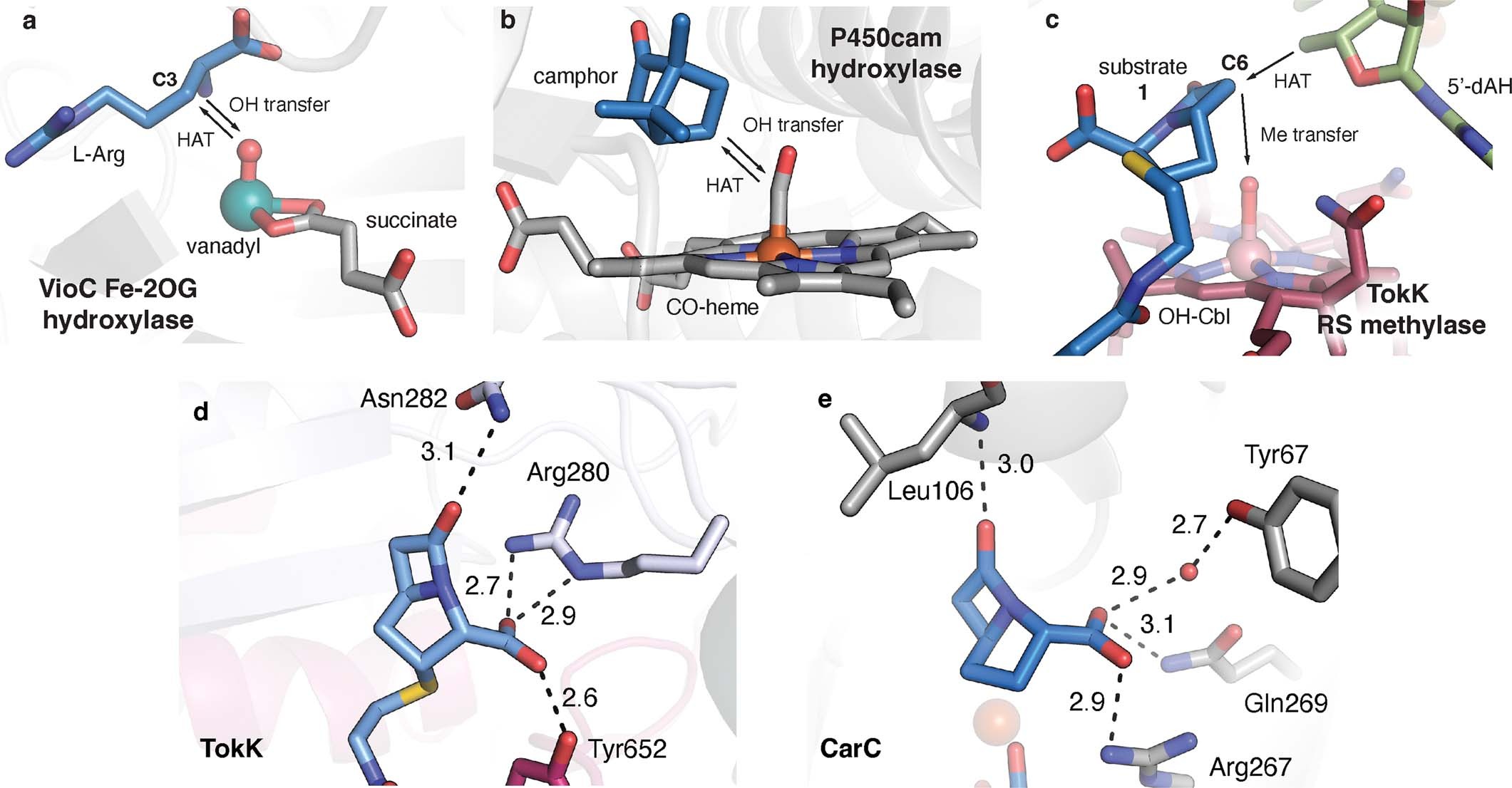 Extended Data Fig. 7