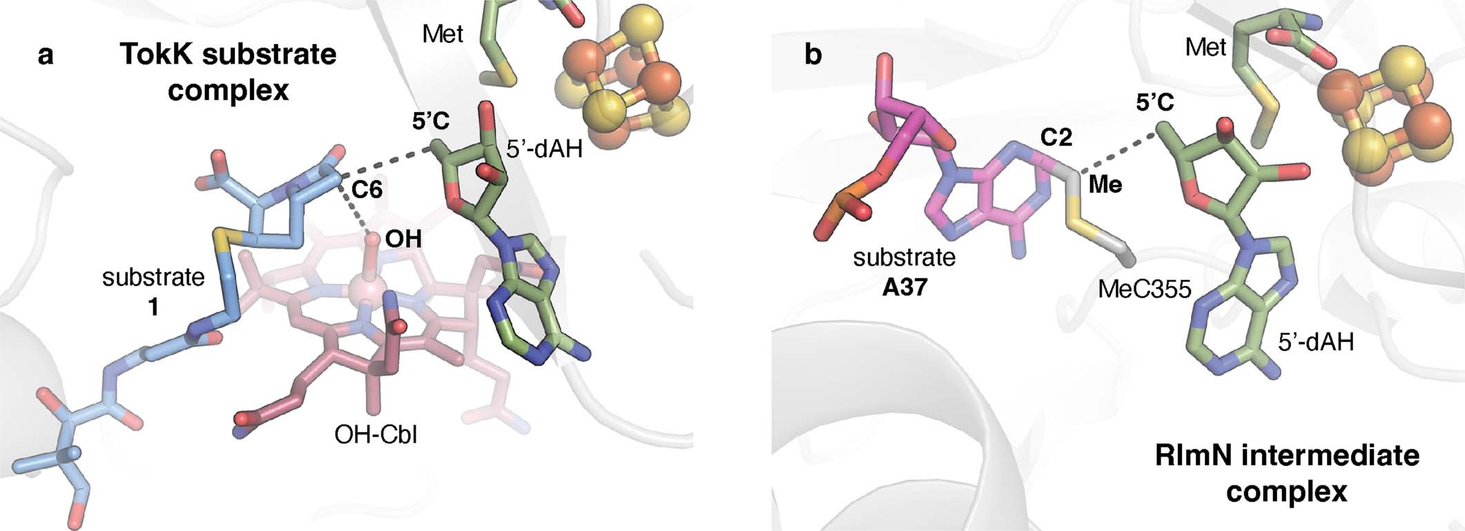 Extended Data Fig. 8