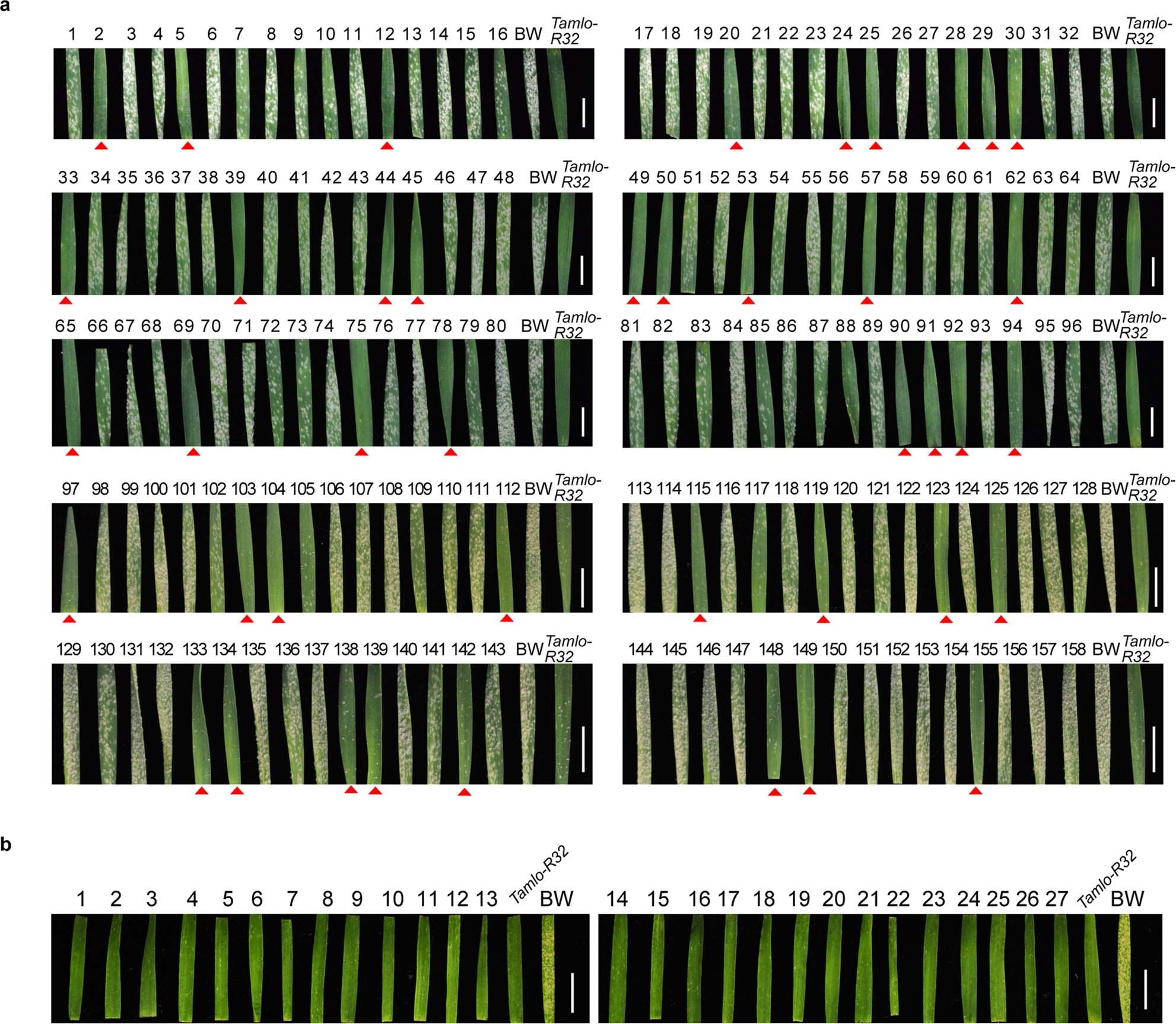 Extended Data Fig. 3
