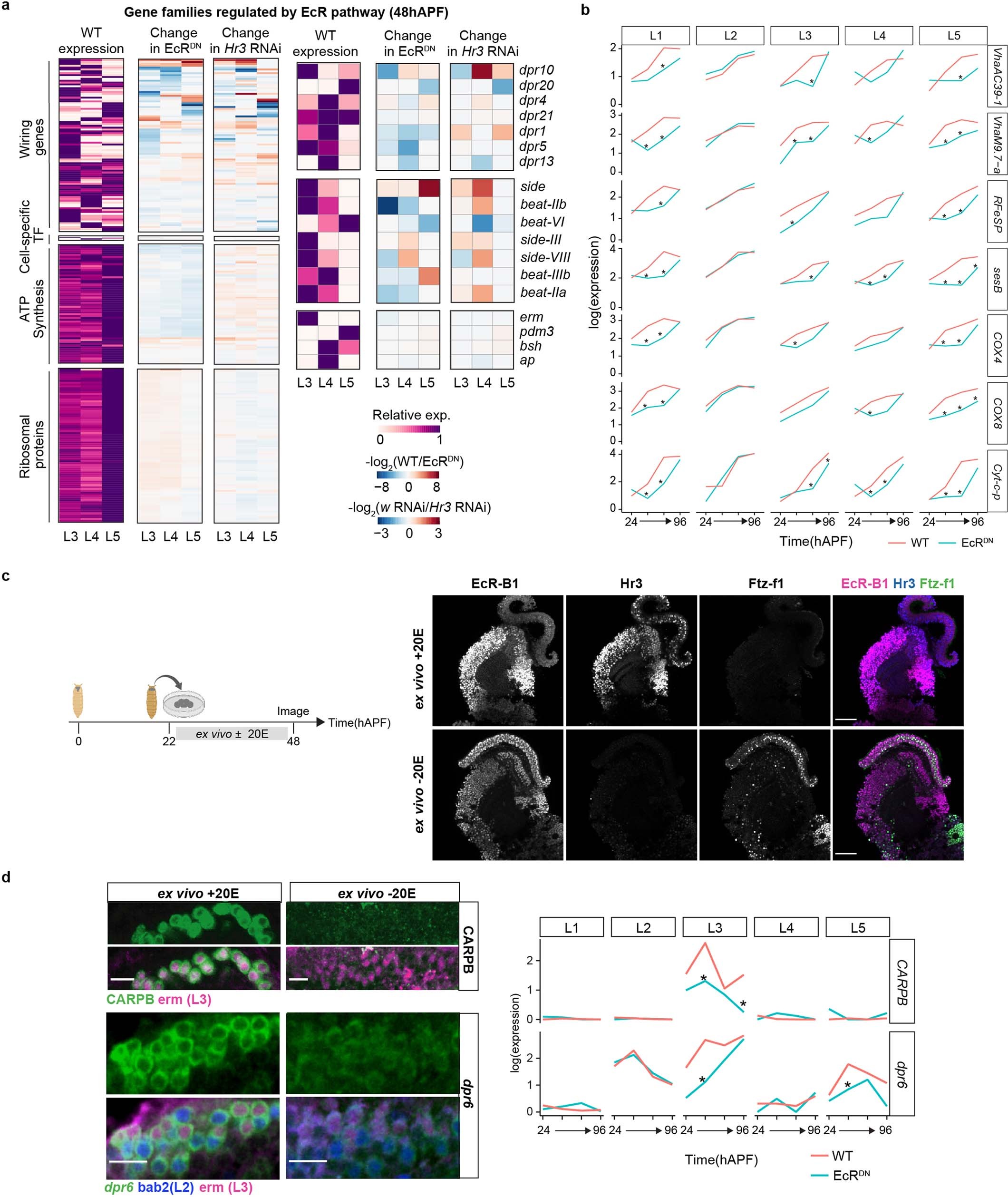 Extended Data Fig. 10