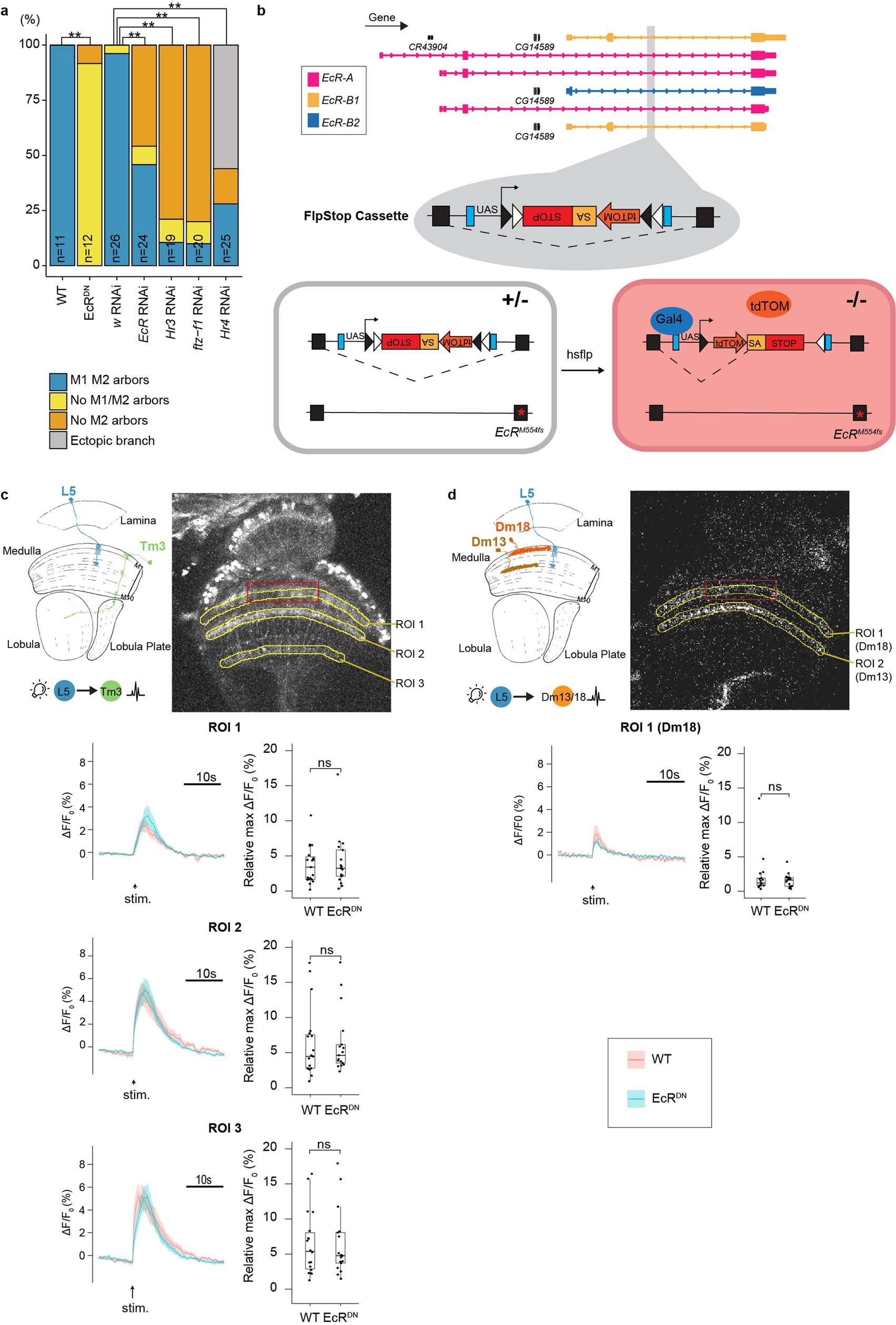 Extended Data Fig. 3