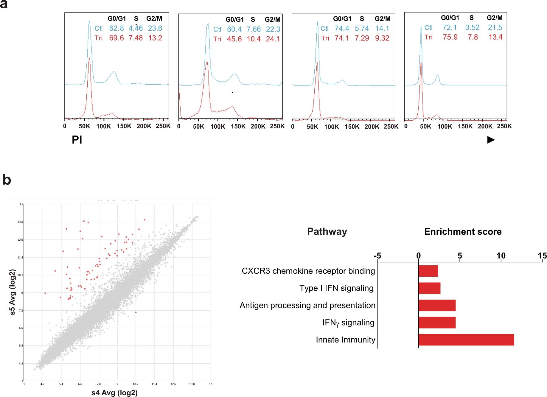Extended Data Fig. 3: HER2 trispecific Ab stimulated CD8+ T cell did not inhibit cell cycle progression/proliferation in multiple HER2 expressing cancer cell lines but upregulated proinflammatory pathways.