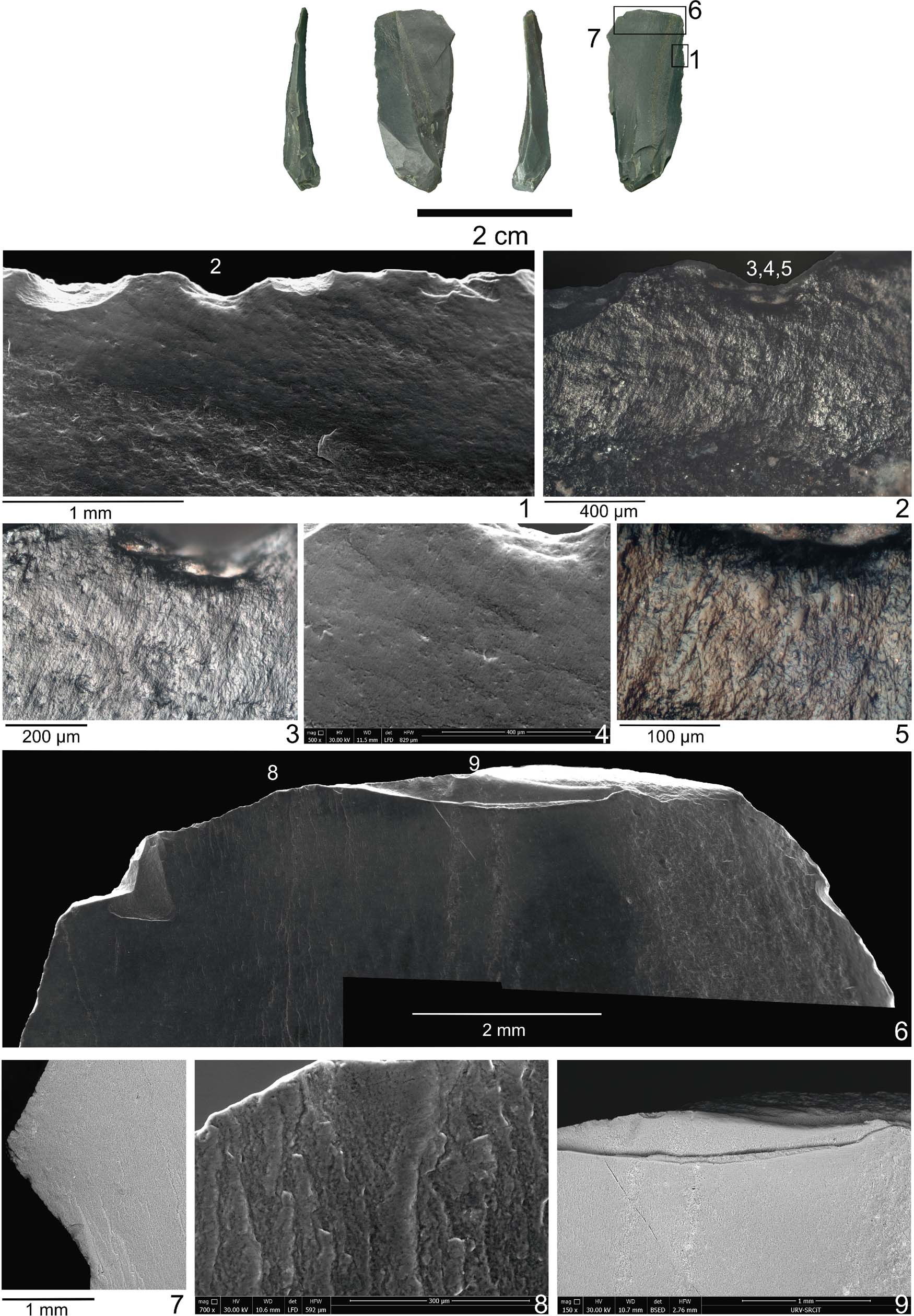 Extended Data Fig. 9