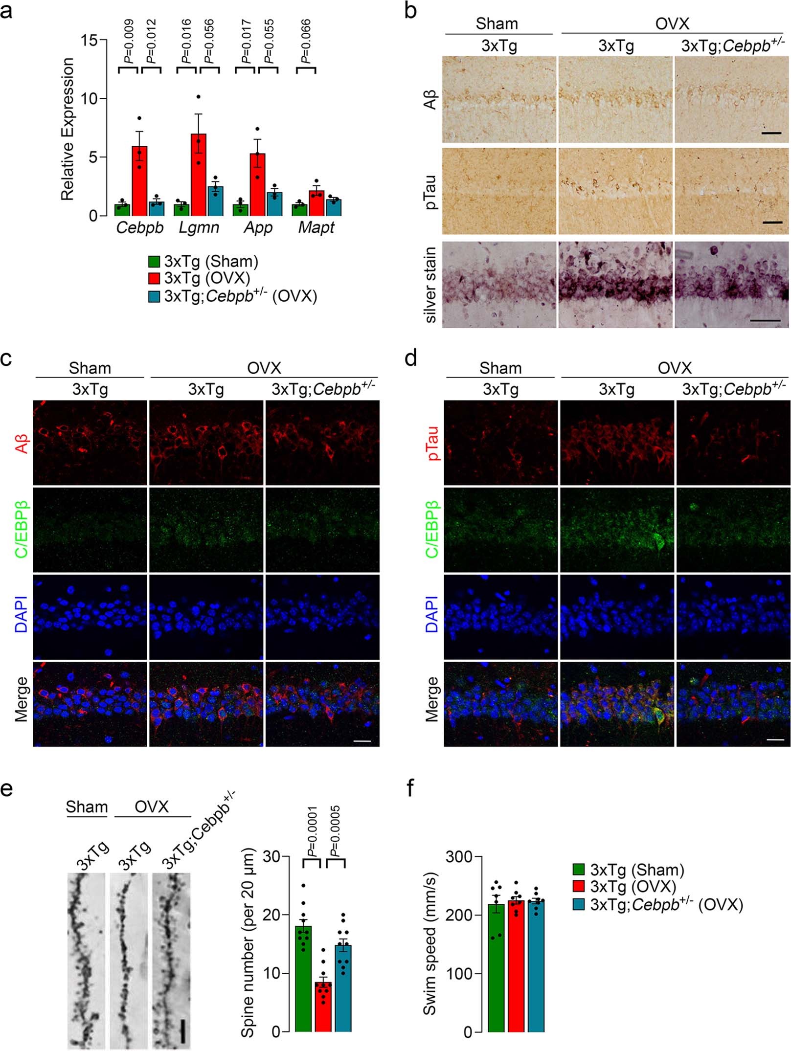 Extended Data Fig. 10