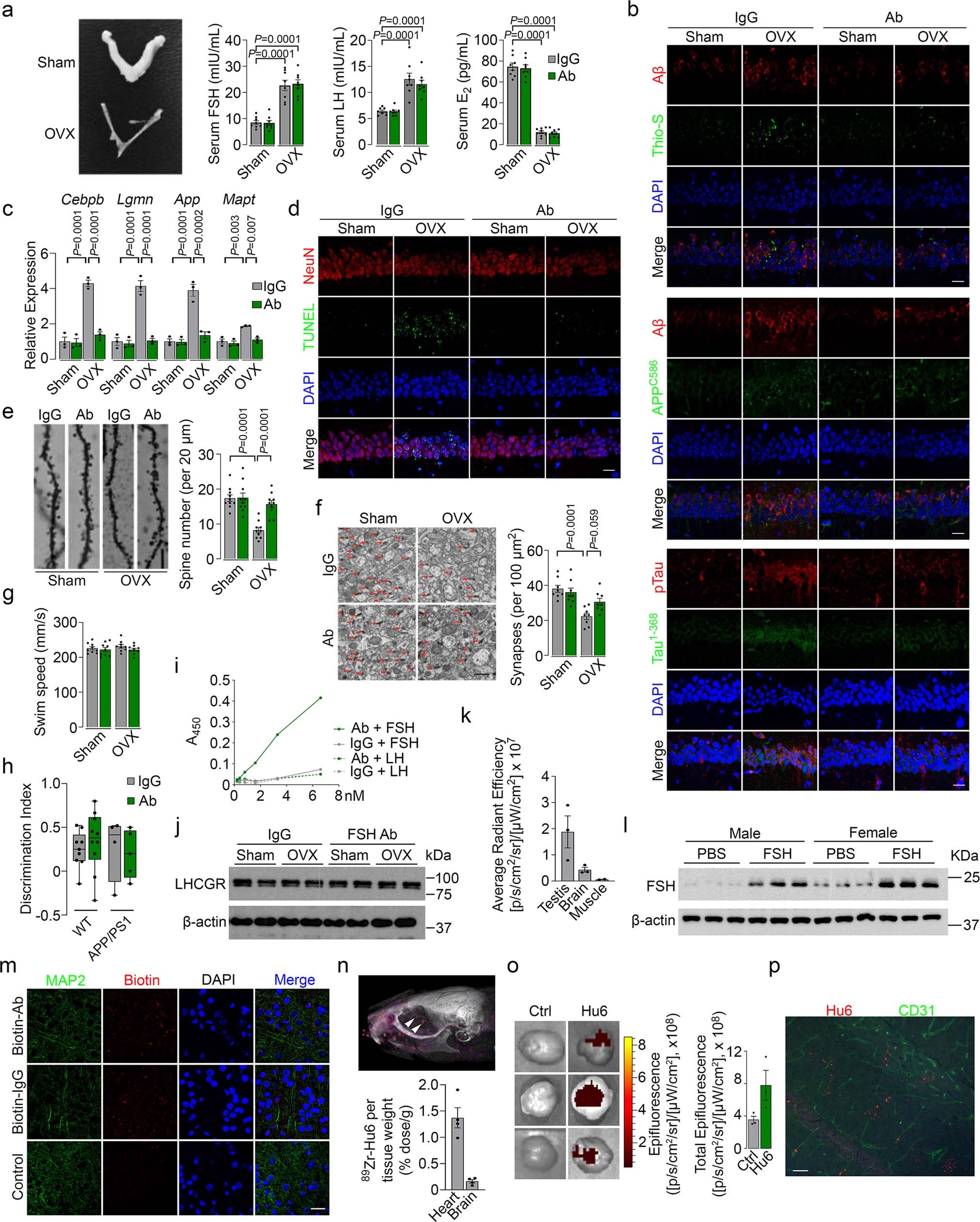 Extended Data Fig. 1