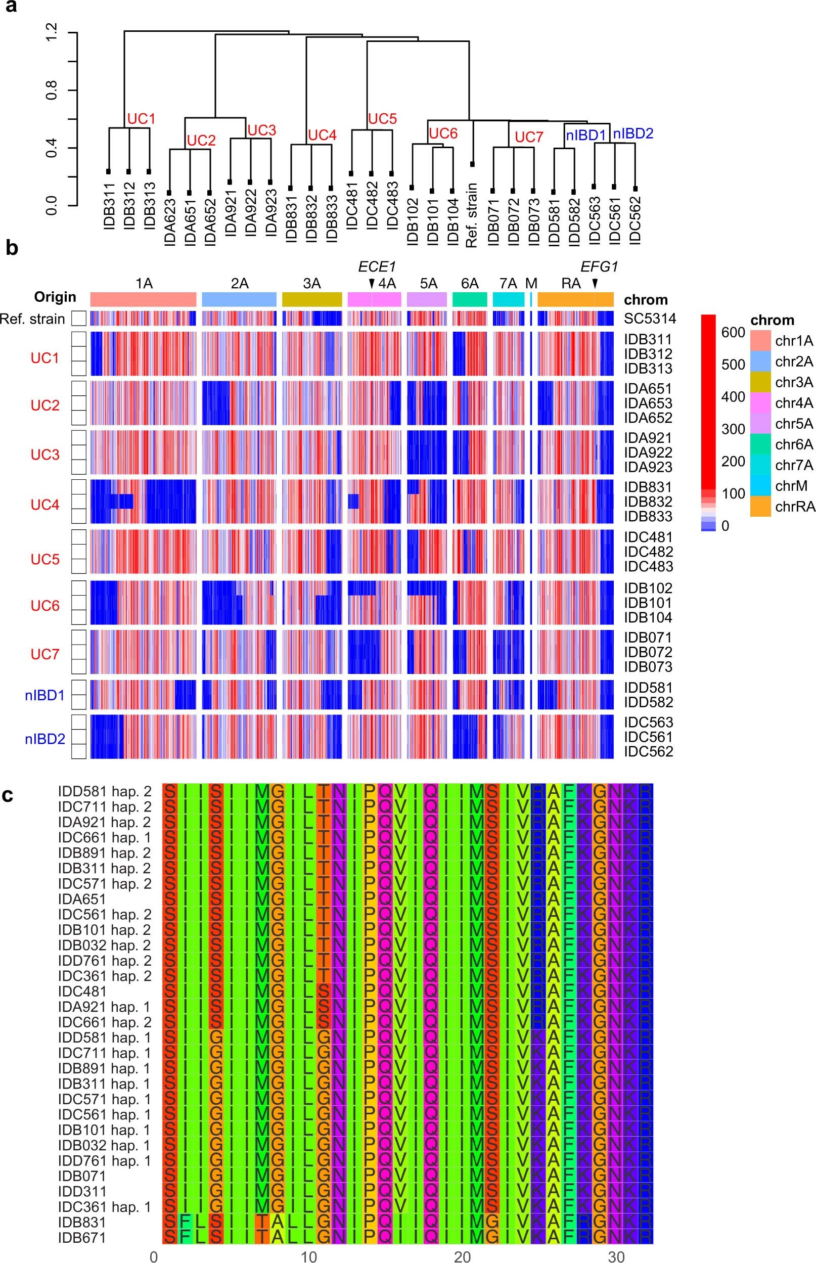 Extended Data Fig. 9: C. albicans clonal expansion, and microevolution occur in the human gut.