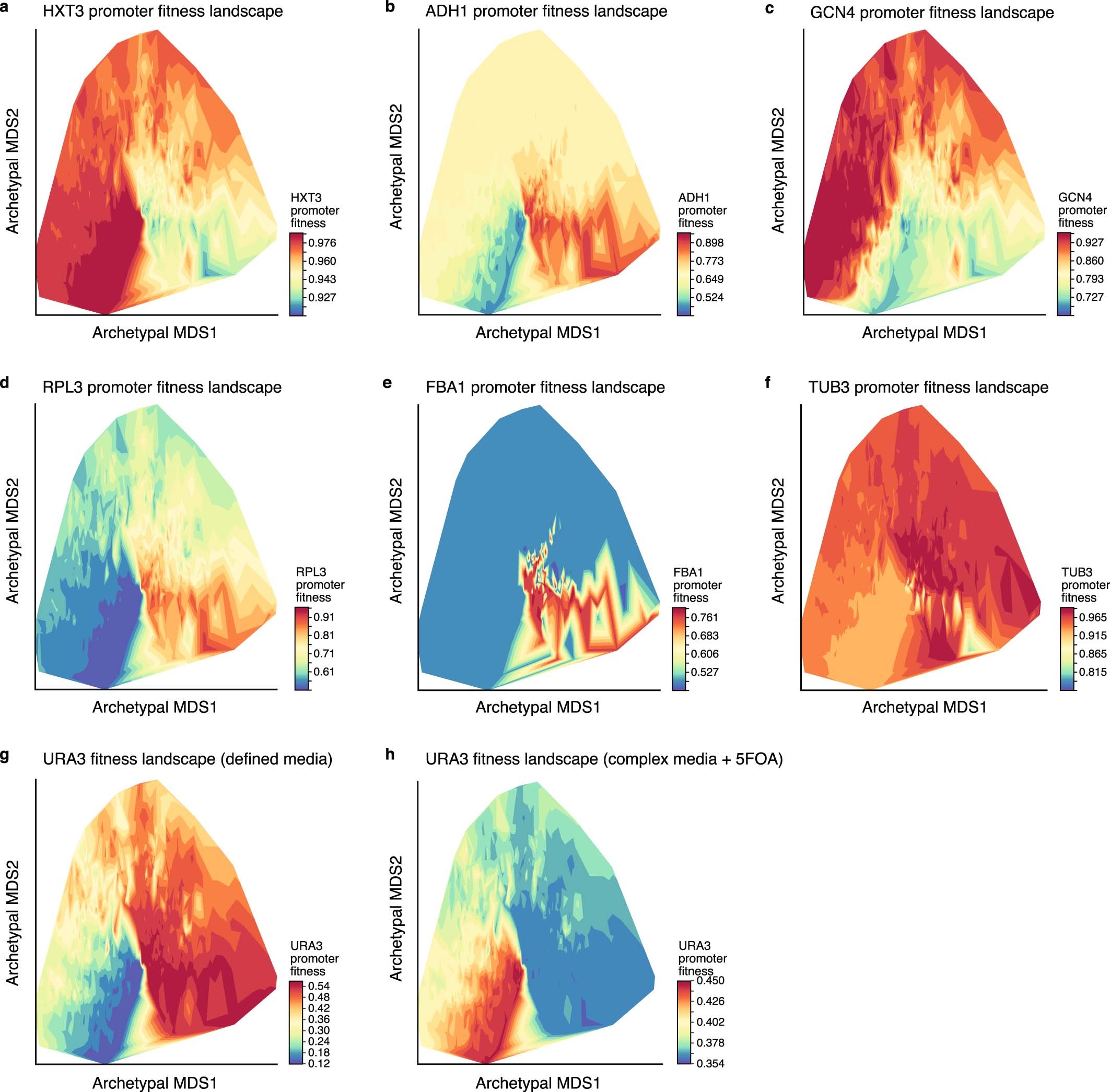 Extended Data Fig. 7: Visualizing promoter fitness landscapes in sequence space.