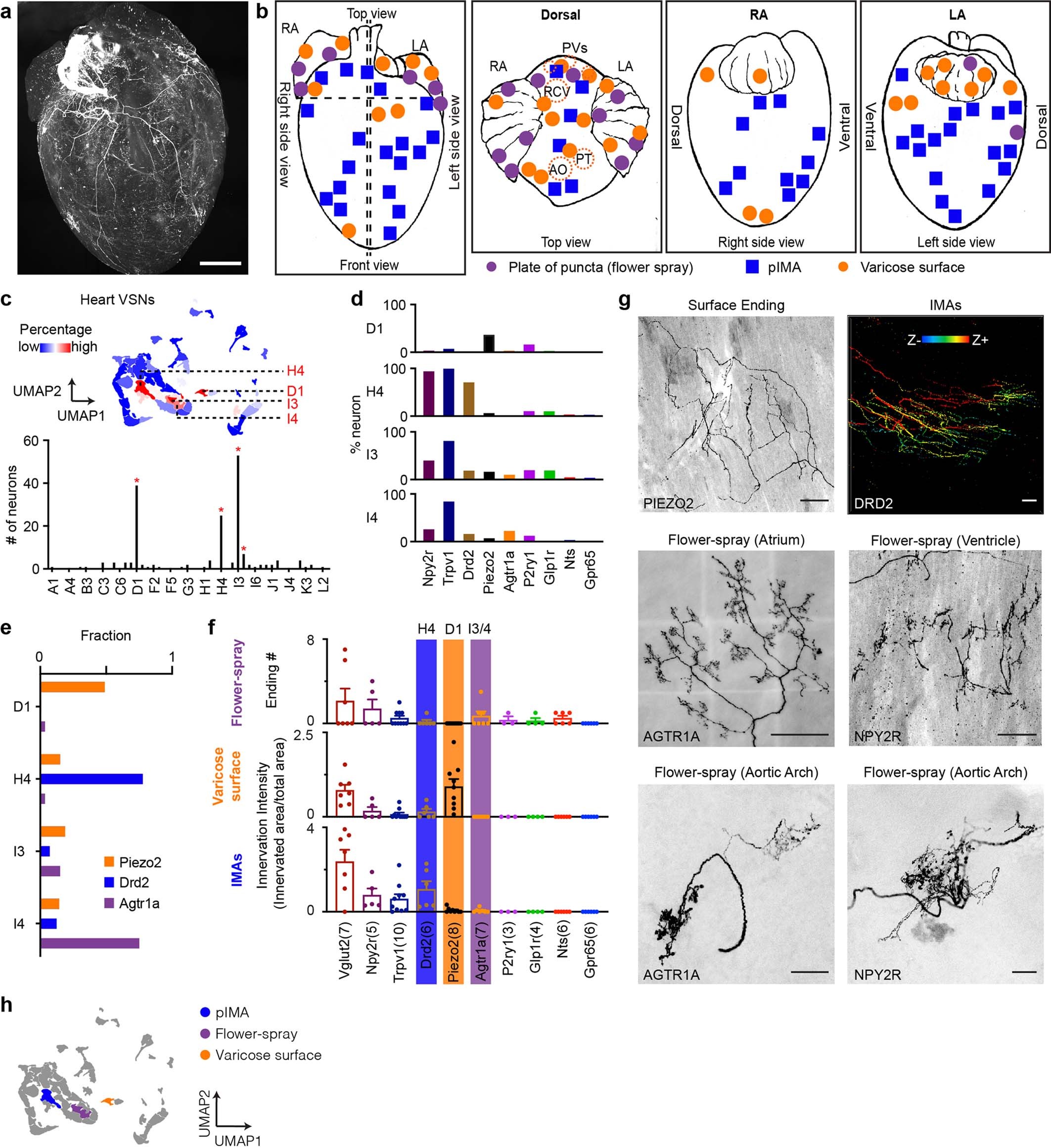Extended Data Fig. 5