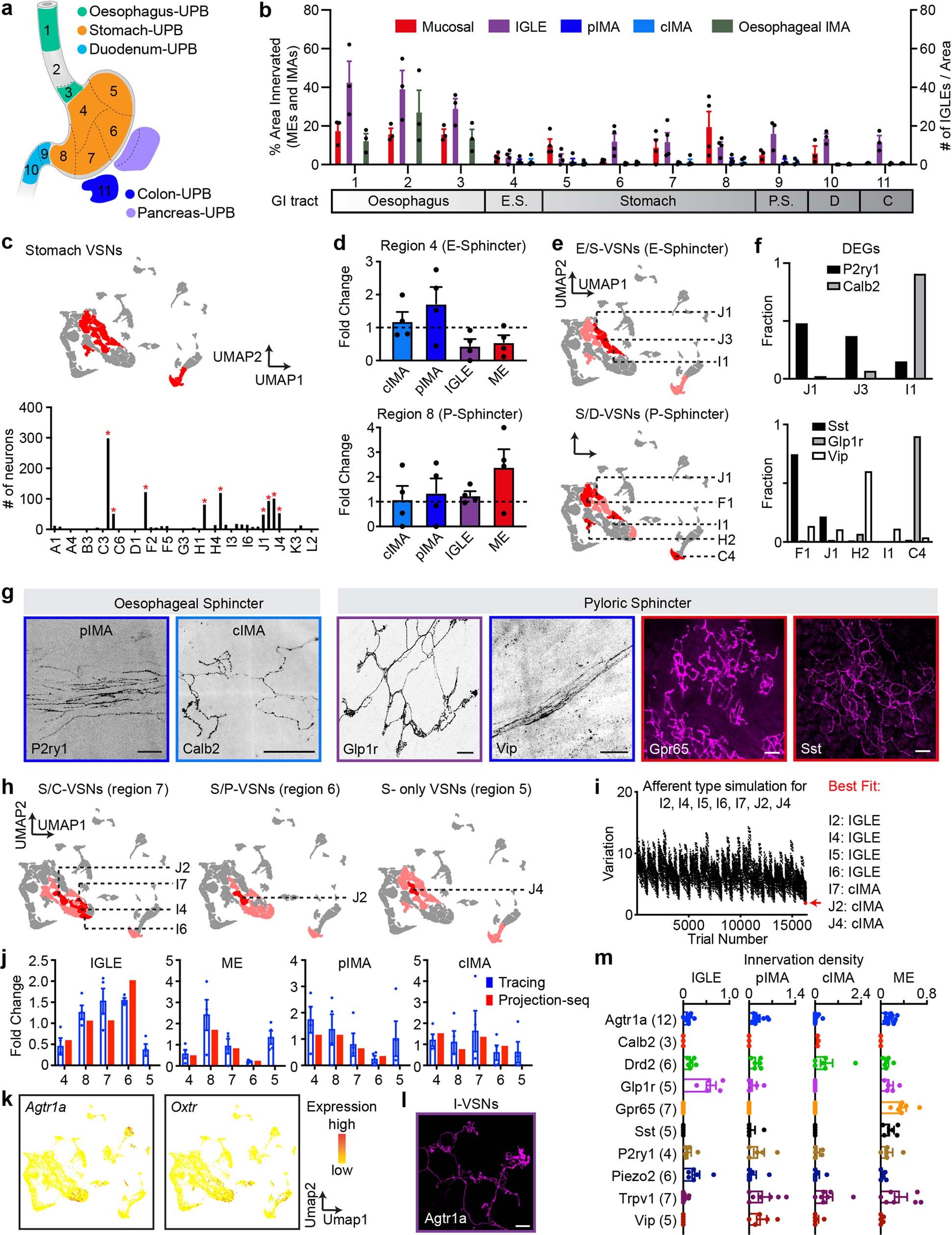 Extended Data Fig. 7