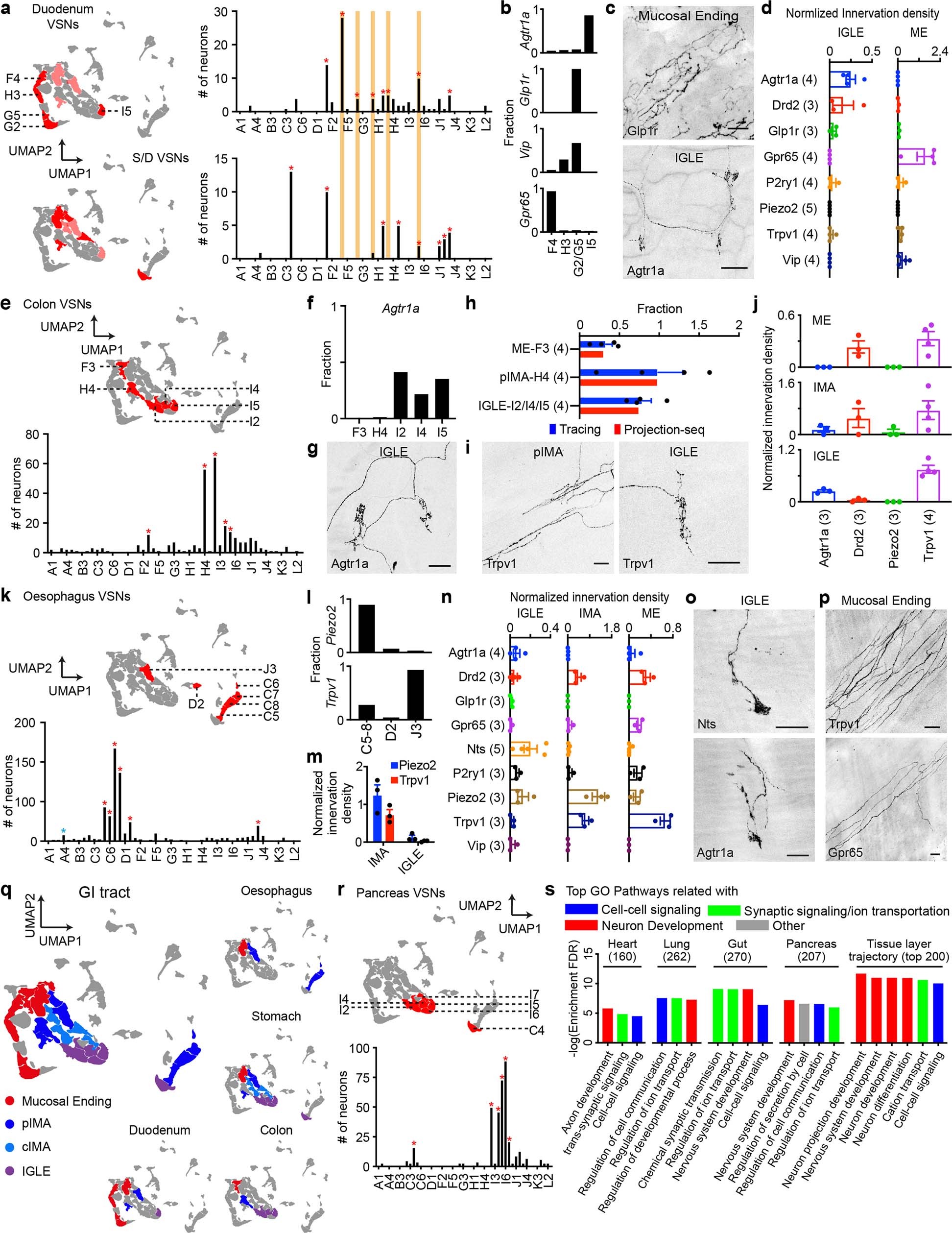 Extended Data Fig. 8