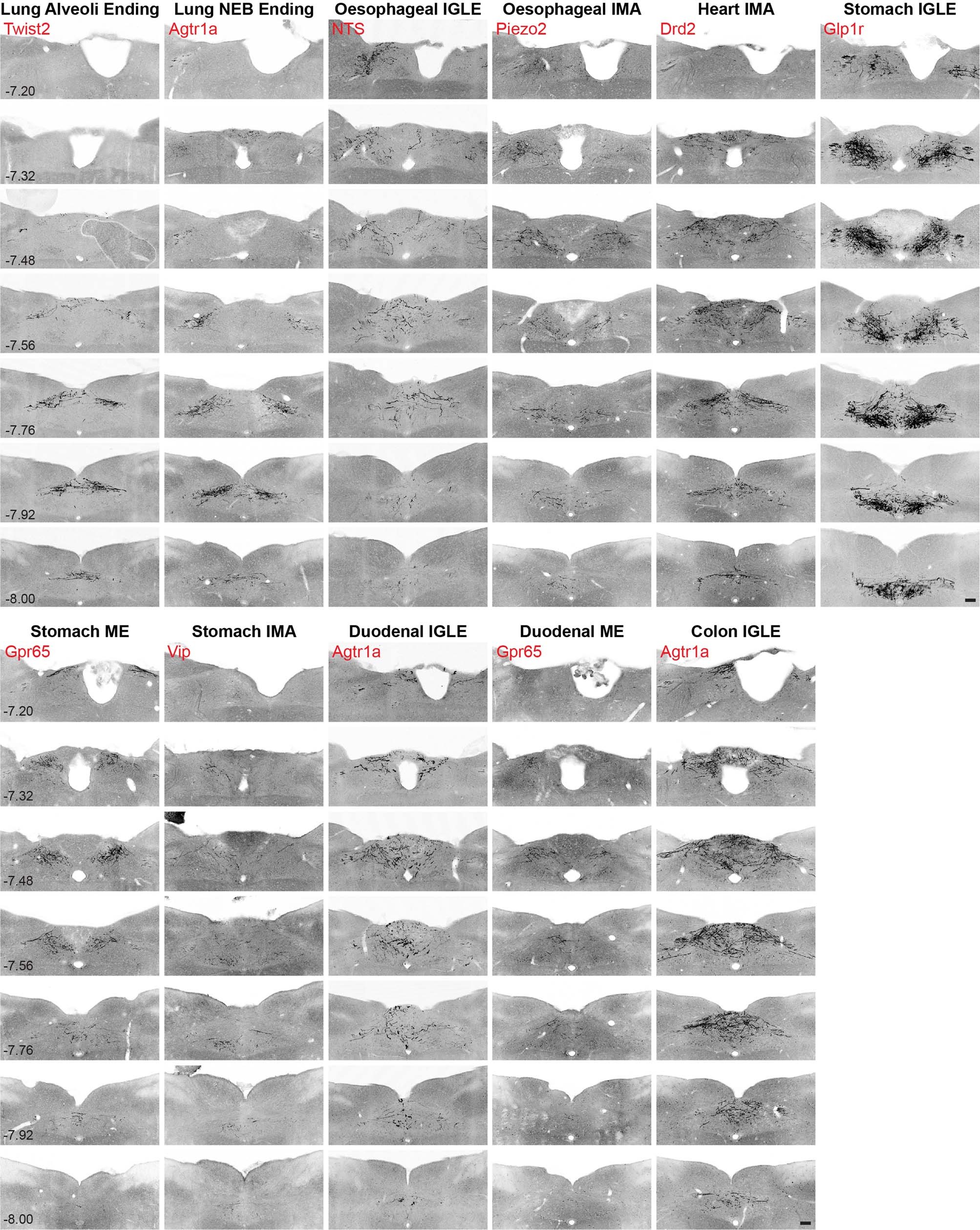 Extended Data Fig. 14