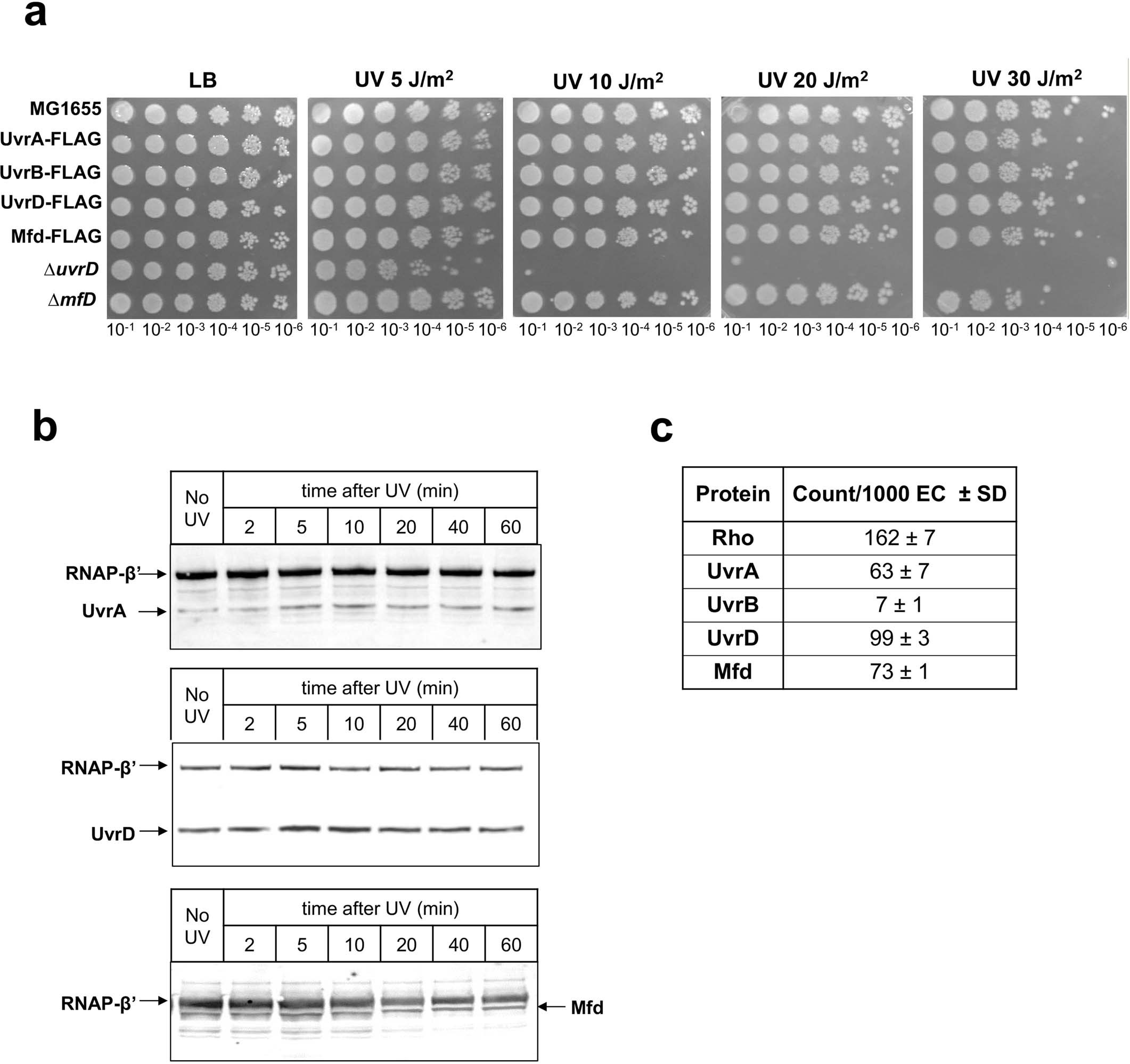 Extended Data Fig. 1