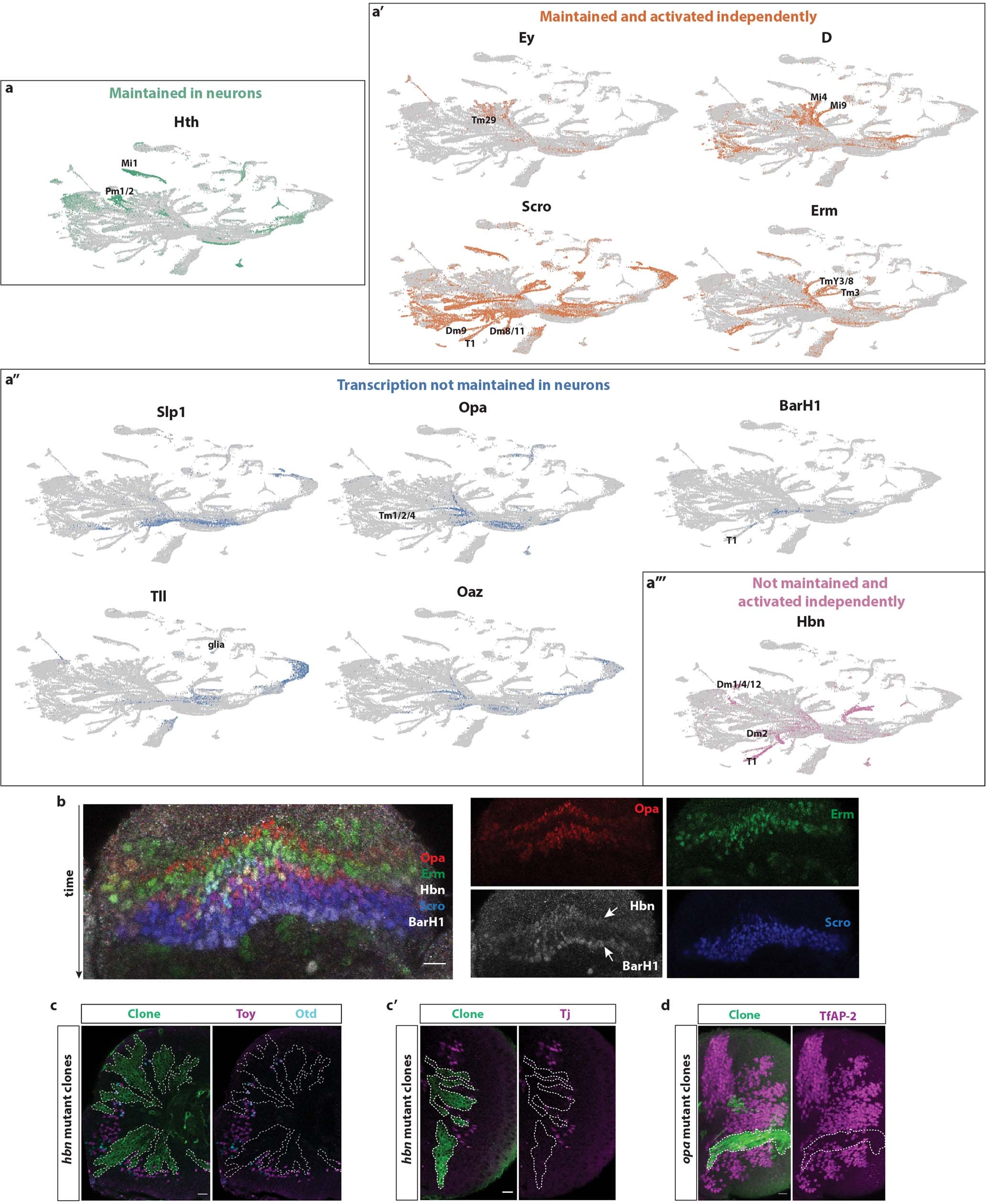 Extended Data Fig. 7