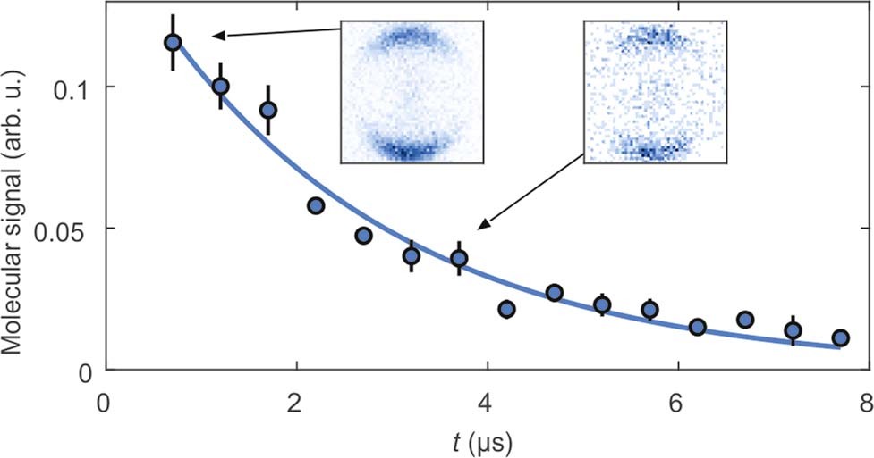 Extended Data Fig. 2: Lifetime measurement with in situ images.