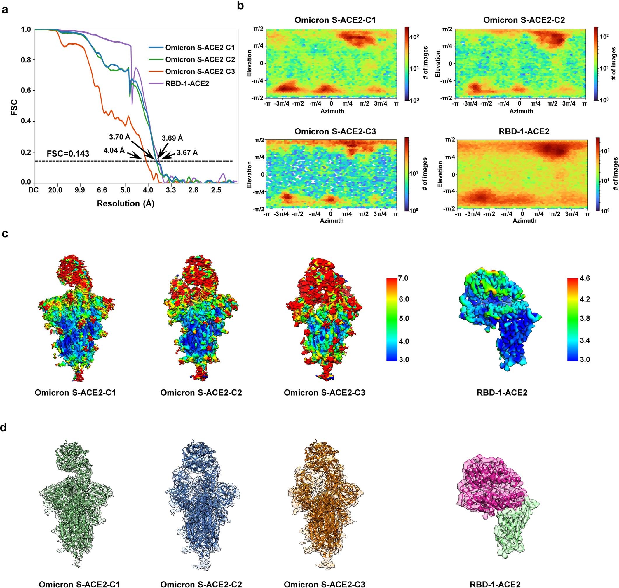 Extended Data Fig. 4: Cryo-EM analysis on the Omicron S-ACE2 complex.