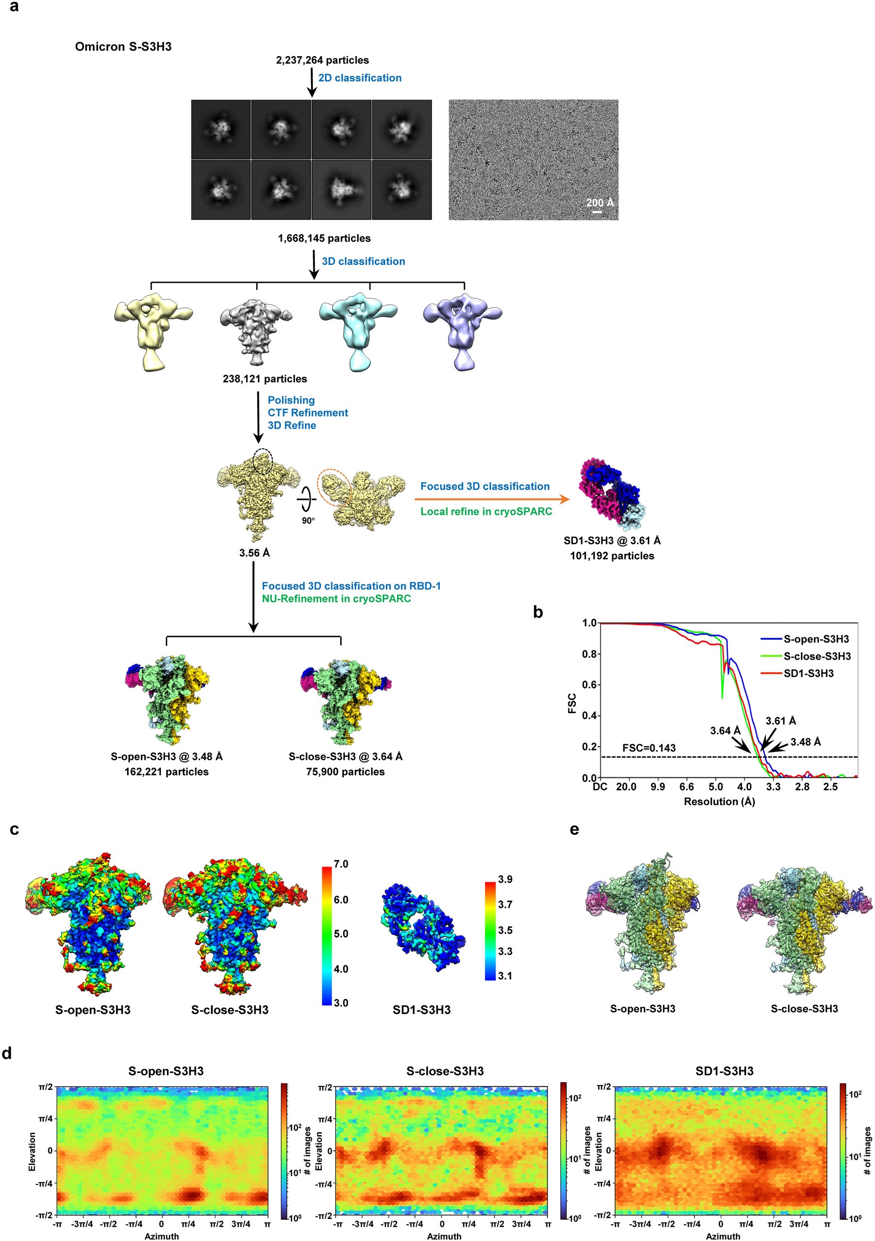 Extended Data Fig. 5: Cryo-EM analysis on the Omicron S-S3H3 Fab complex.